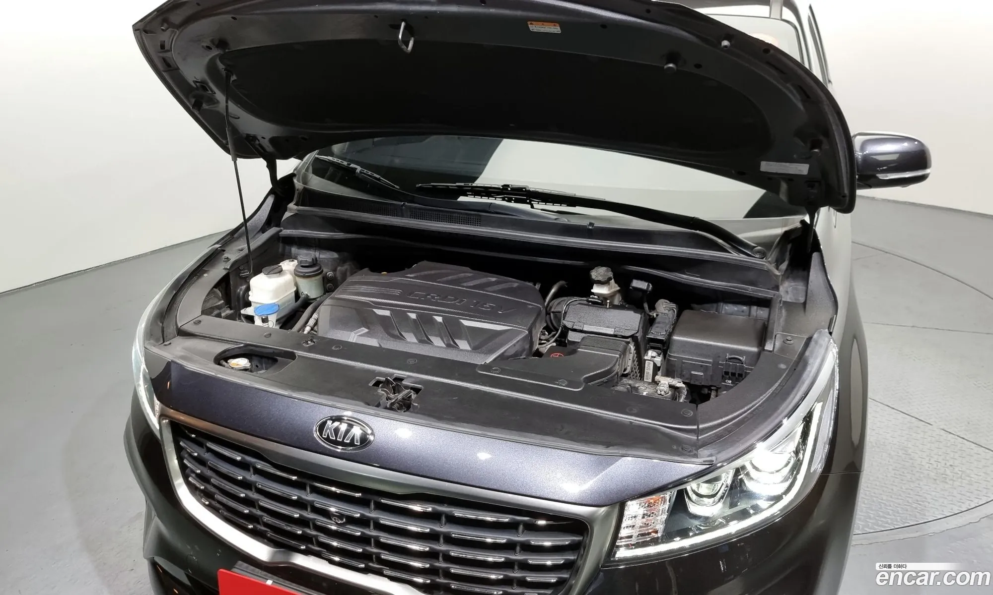 Kia Carnival Iii 7-Seater Limousine 2019 - фотография 12284364