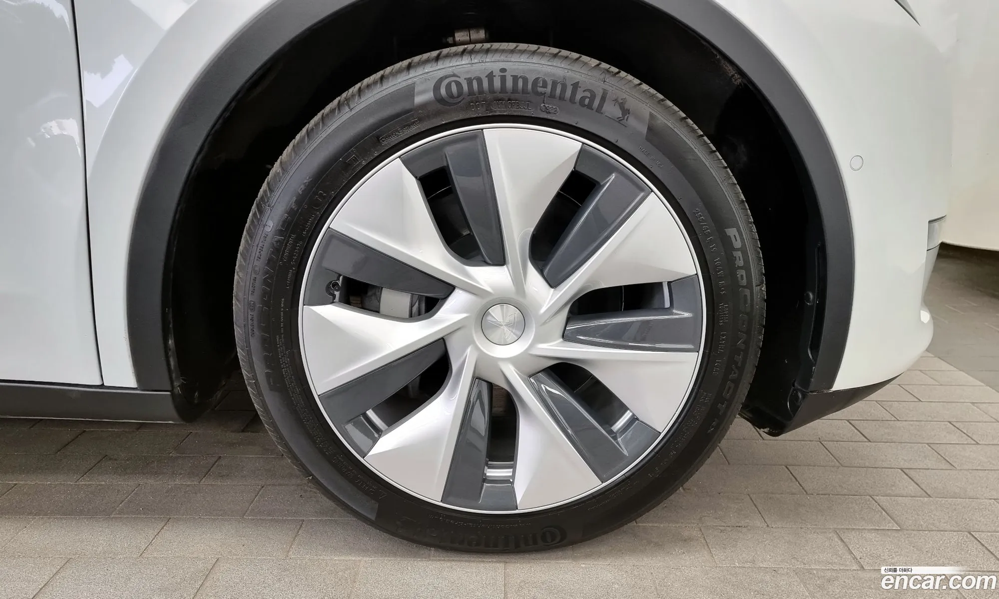 Tesla Model Y I Long Range 2022 - фотография 14605817