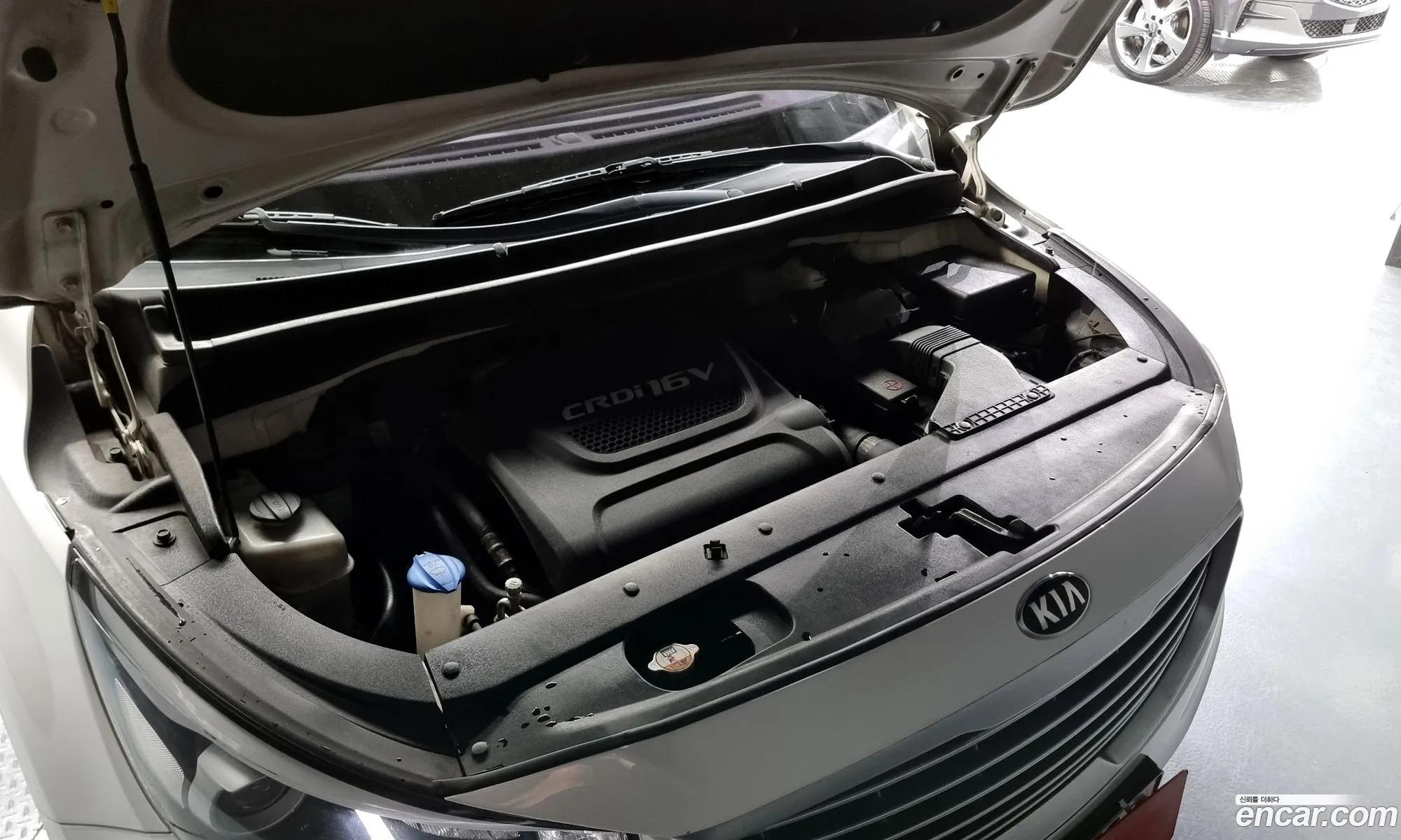 Kia Carnival 9-Seater Luxury 2015 - фотография 12285132