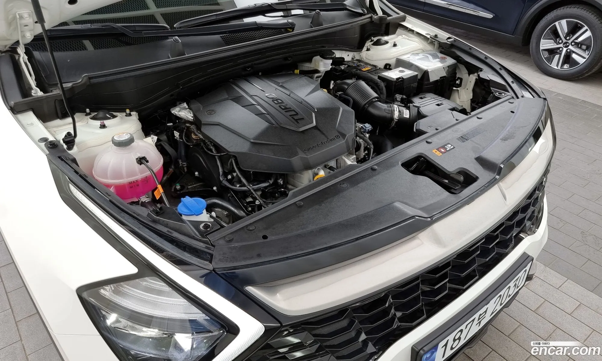Kia Sportage Diesel 20 2Wd 2024 - фотография 15721348