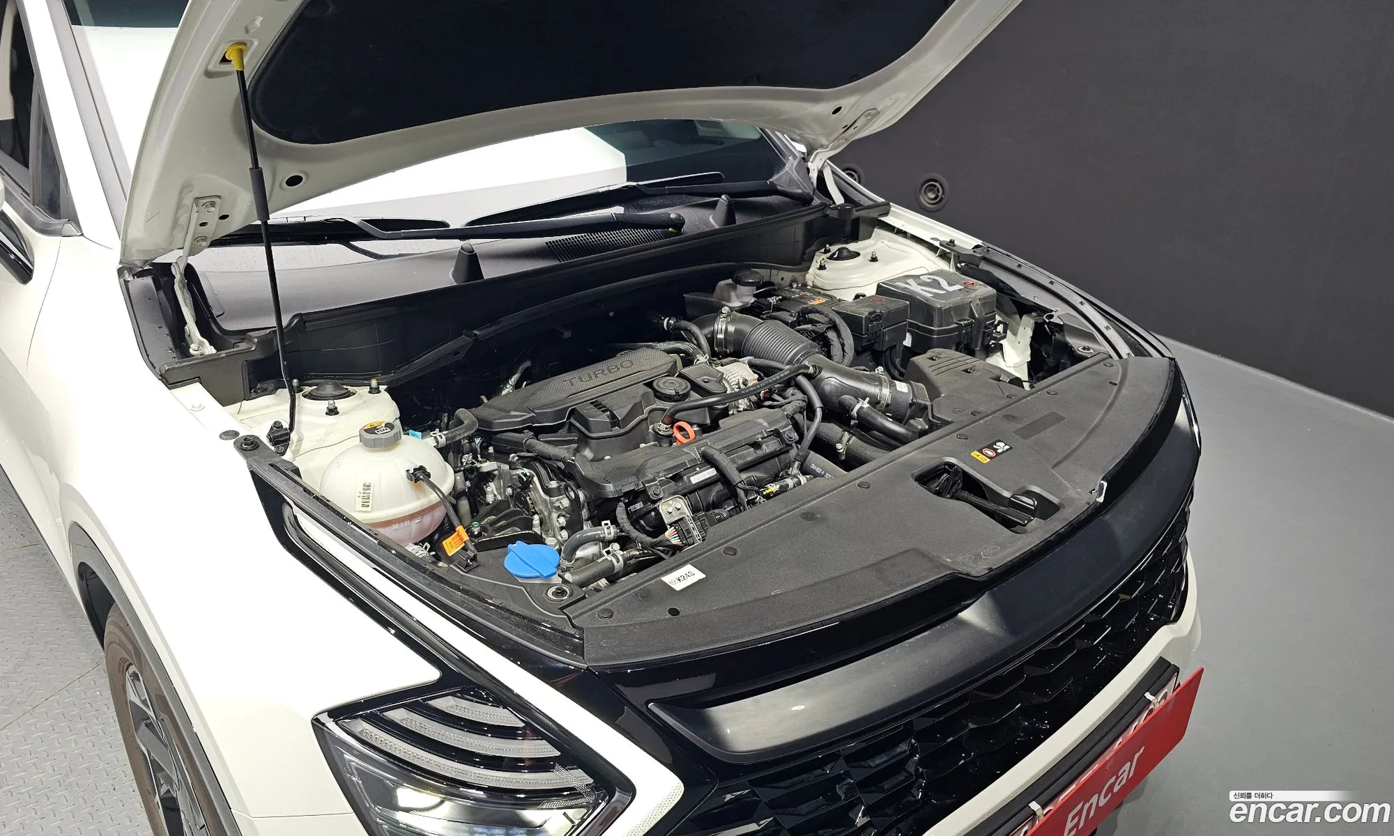 Kia Sportage Gasoline 16 Turbo 2Wd 2024 - фотография 17490762