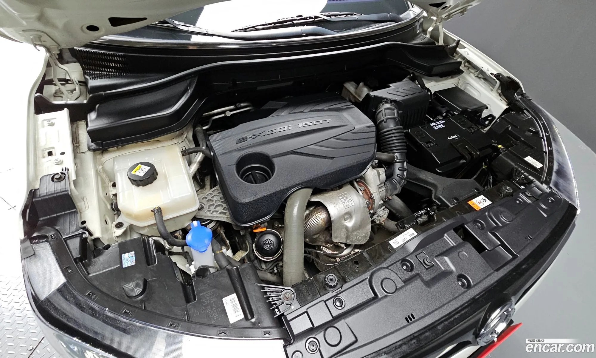 Ssangyong Tivoli Tivoli Gasoline 15 2Wd 2020 - фотография 17505414