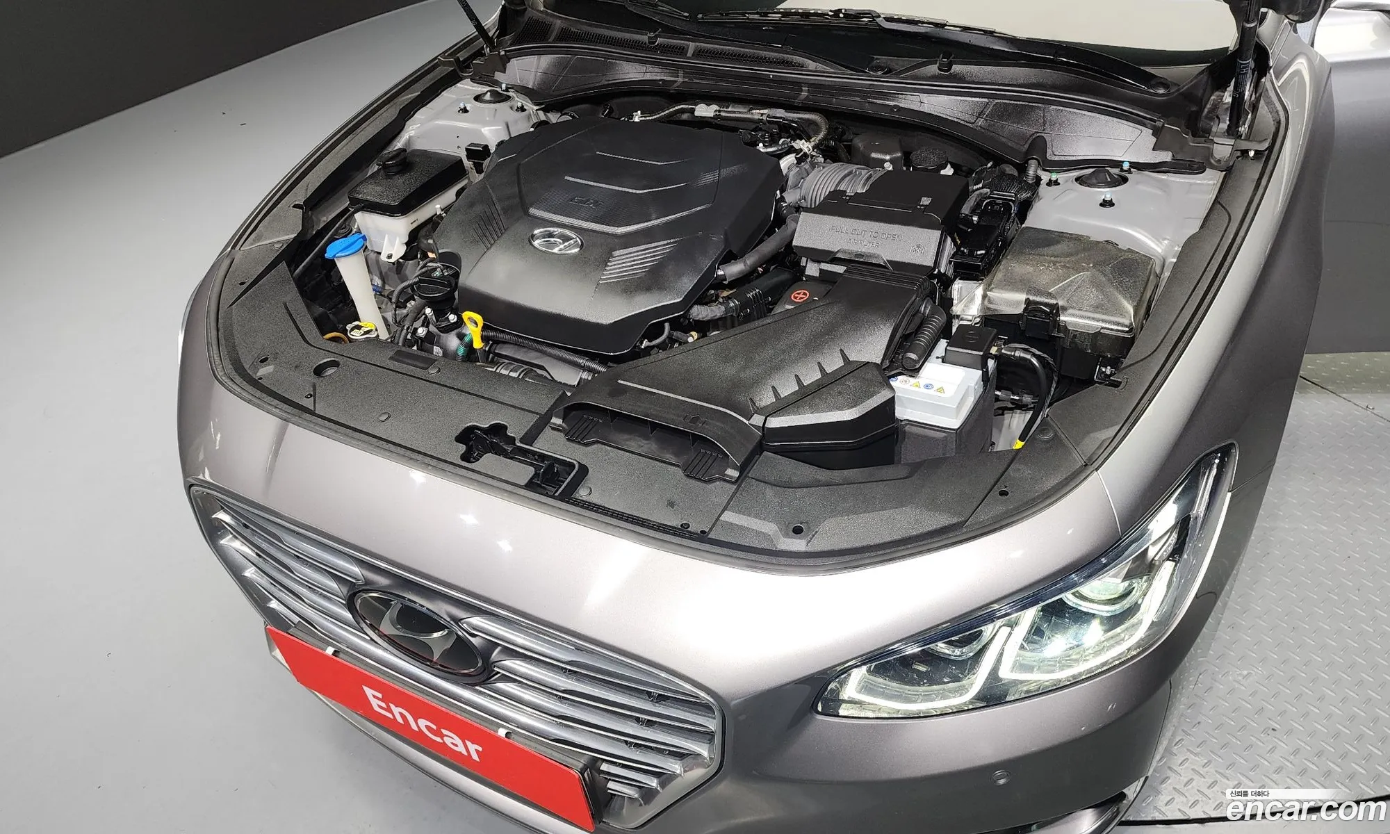 Korex Auto Trade - фотография 17294644