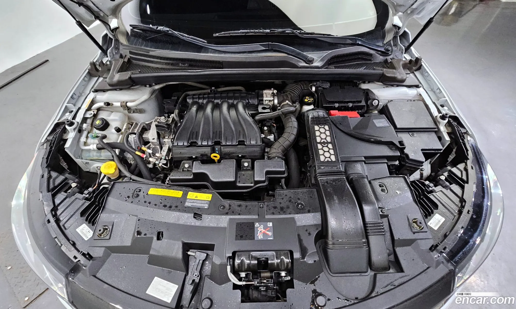 Renault Samsung Sm6 20 Lpe Re For The Disabled 2016 - фотография 12441585