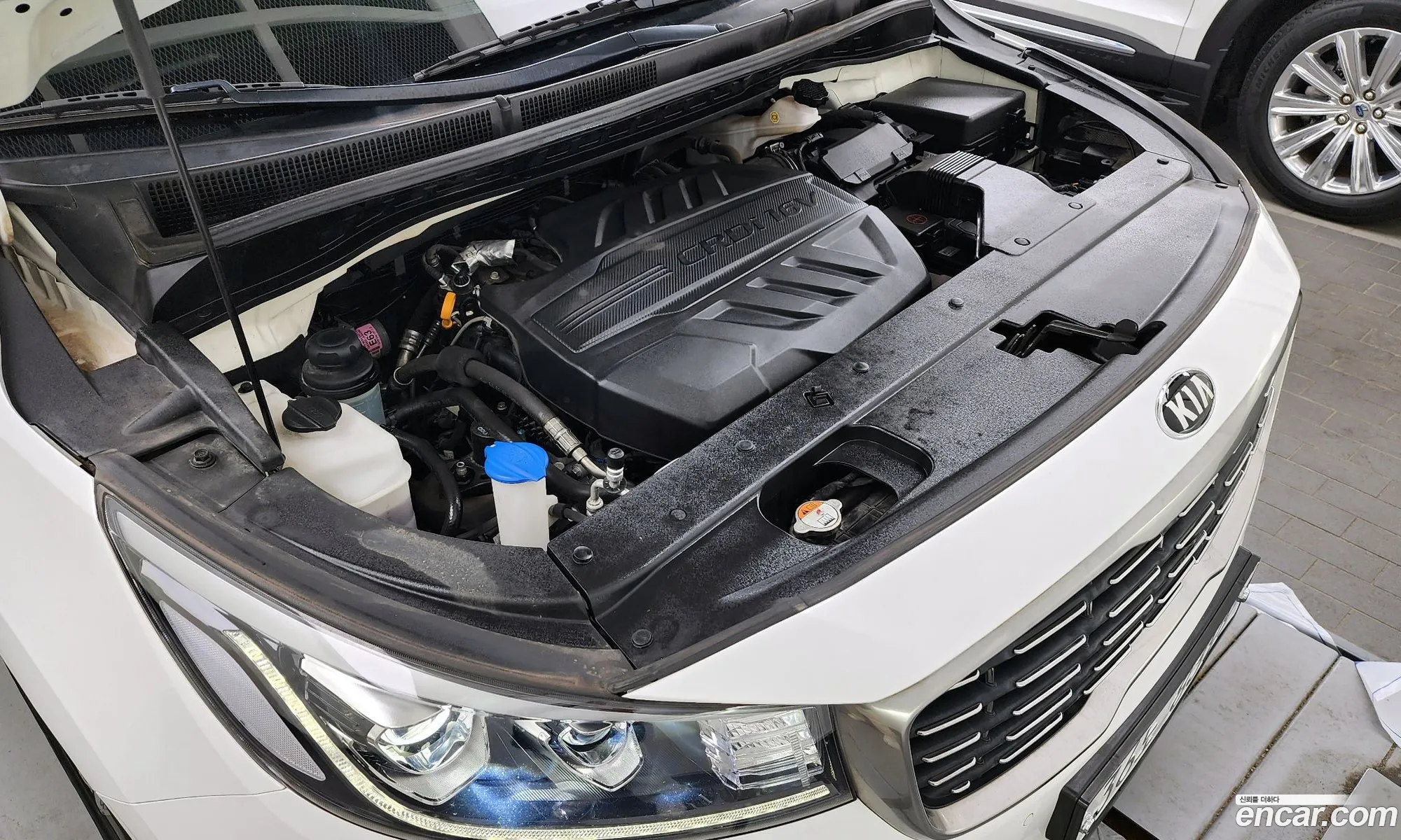 Kia Carnival Iii 9-Seater Noblesse 2019 - фотография 15718069
