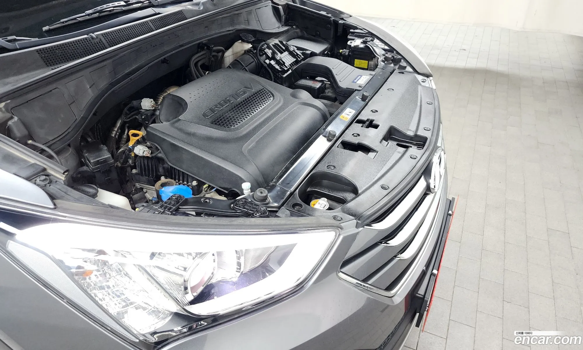 Korex Auto Trade - фотография 12072990