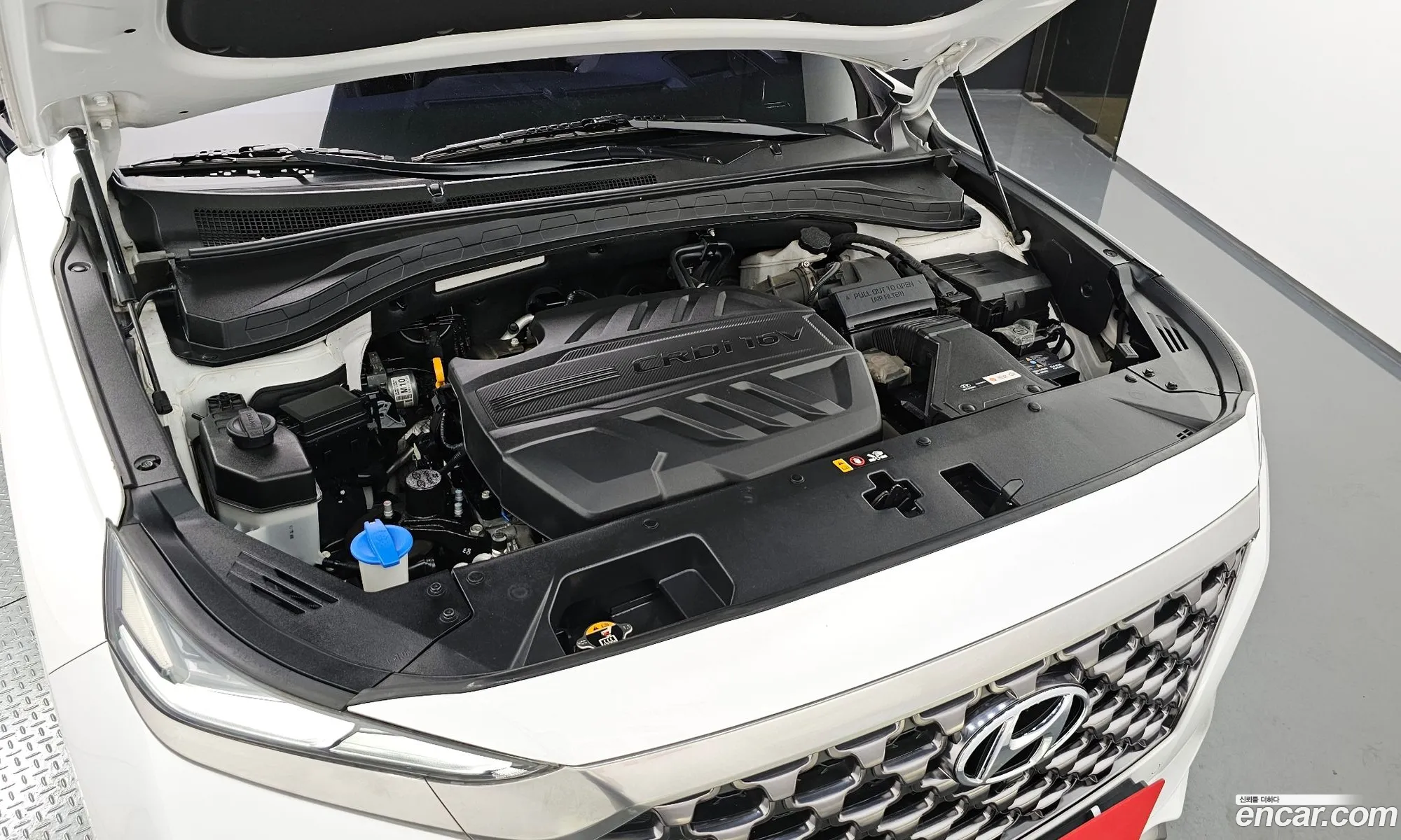 Hyundai Santa Fe Diesel 22 4Wd 2019 - фотография 15869454