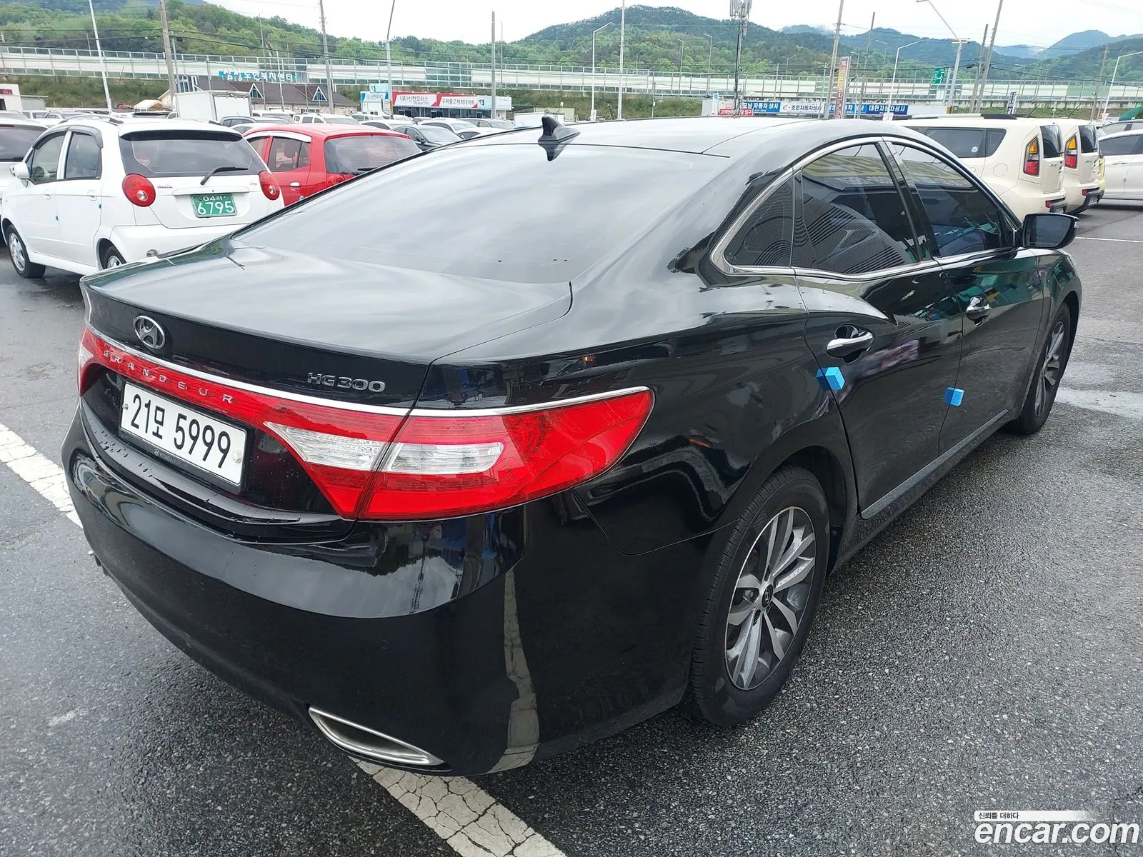 Hyundai Grandeur Hg Lpg Hg300 For The Disabled - фотография 14332768