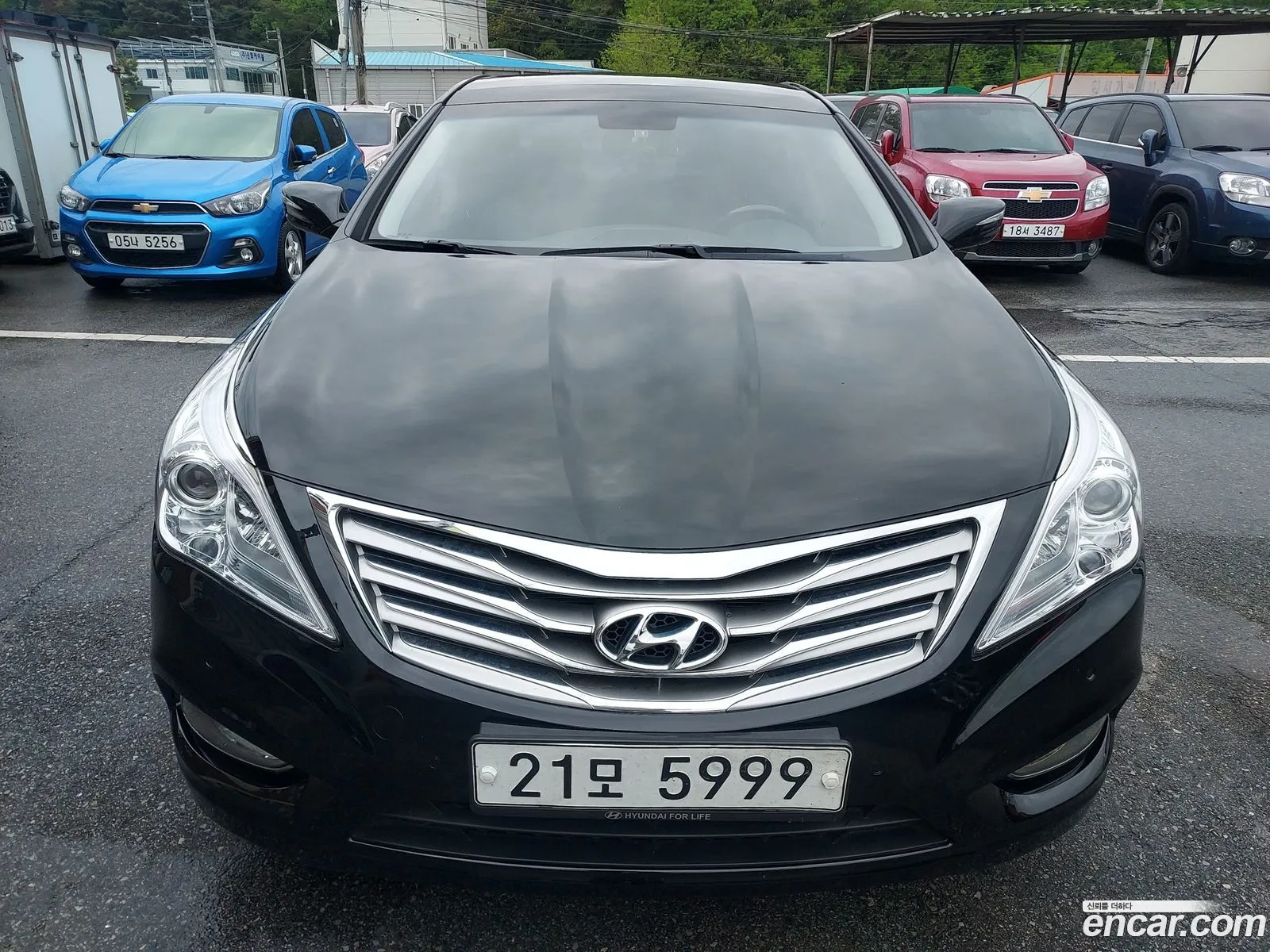 Hyundai Grandeur Hg Lpg Hg300 For The Disabled - фотография 14332769