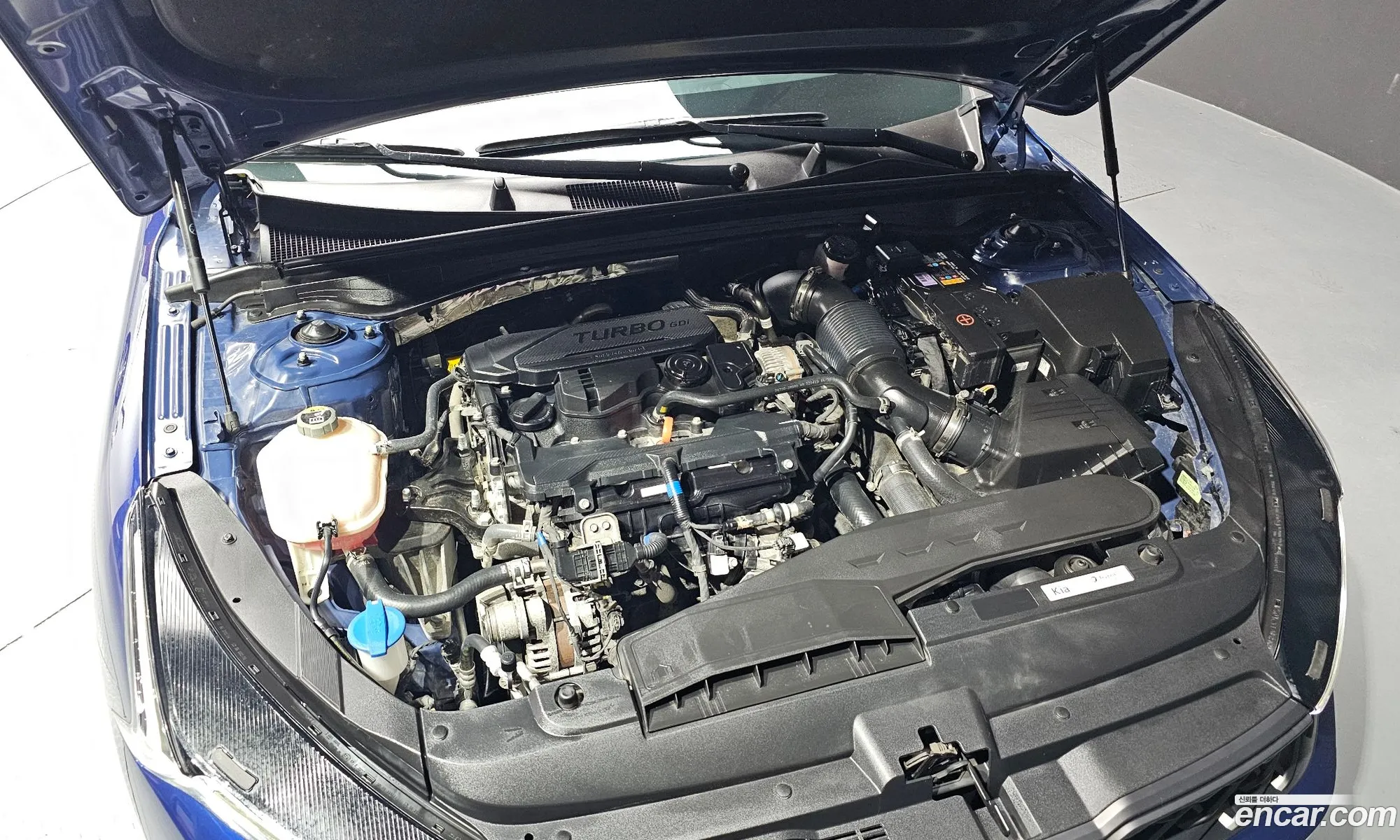 Kia K5 Iii 16 Turbo 2022 - фотография 17440459