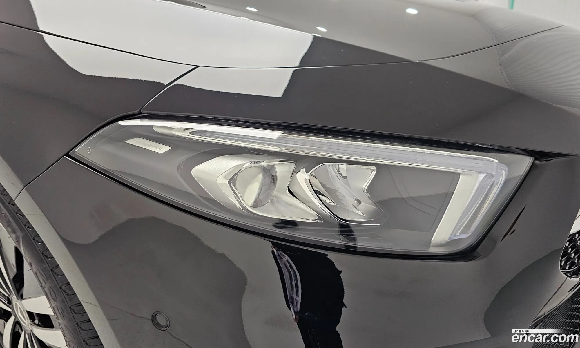Korex Auto Trade - фотография 12542296