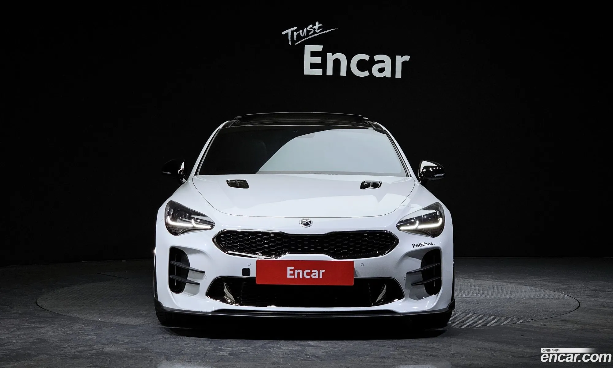 Kia Stinger I 20 Turbo 2Wd 2019 - фотография 11986797