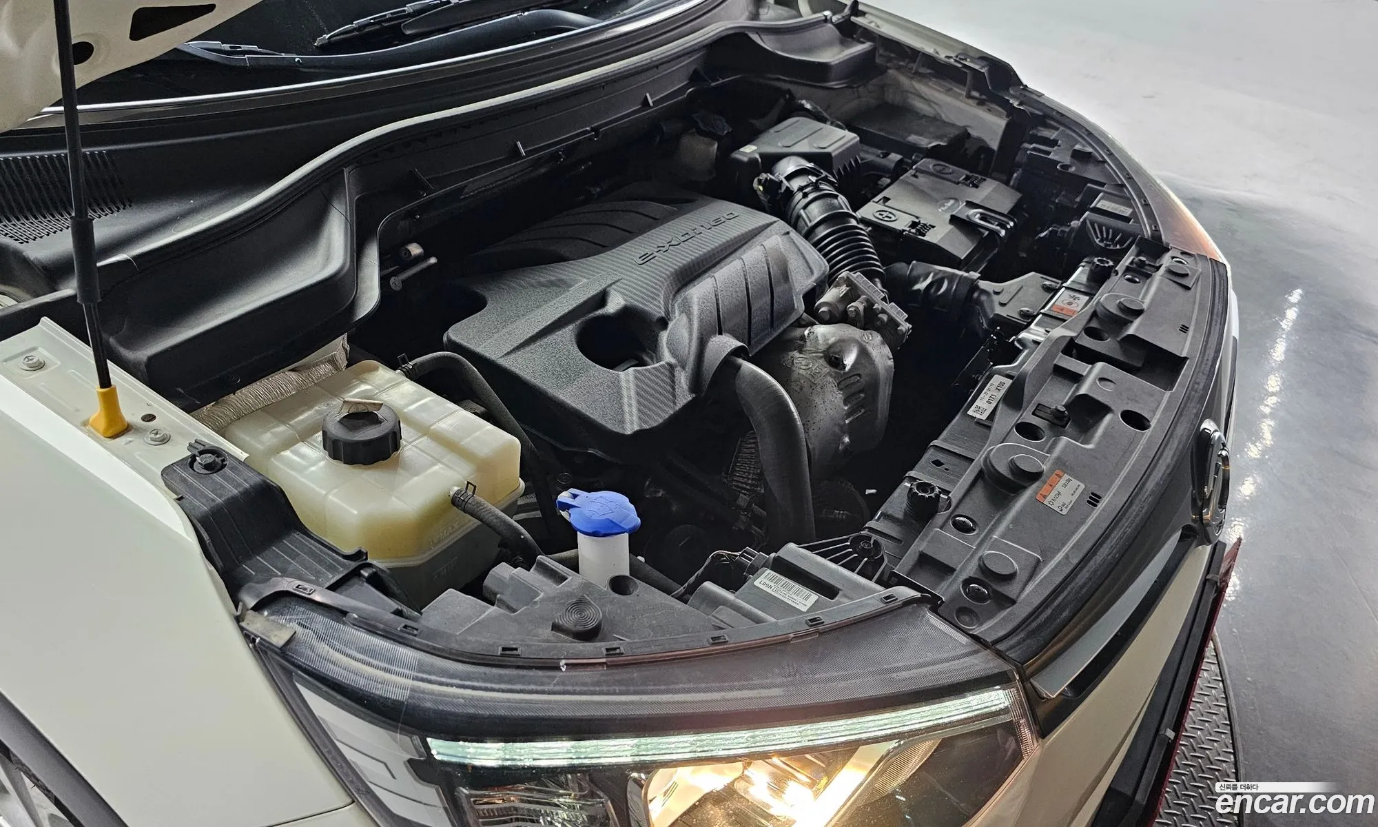Ssangyong Tivoli Tivoli Diesel 16 2Wd 2020 - фотография 15644705
