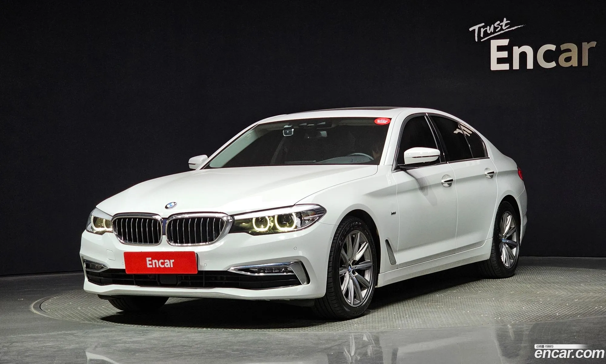 BMW 5Er Vii G30G31 520I Luxury 2018 - фотография 12483342