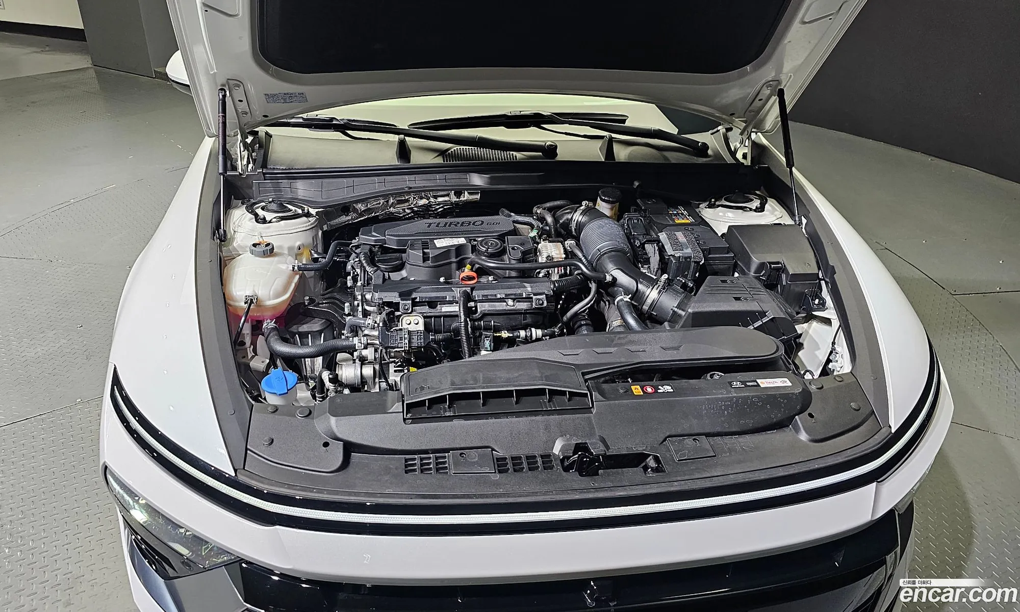 Hyundai Sonata 16 Turbo 2024 - фотография 12392538
