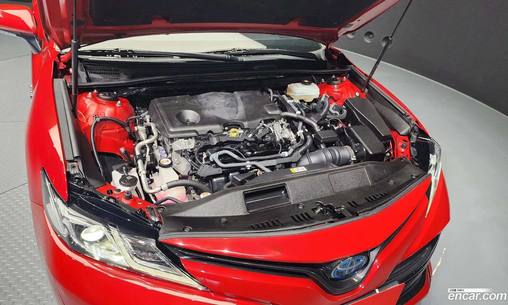 Toyota Camry Viii Xv70 25 Le Hybrid 2019 - фотография 14401315