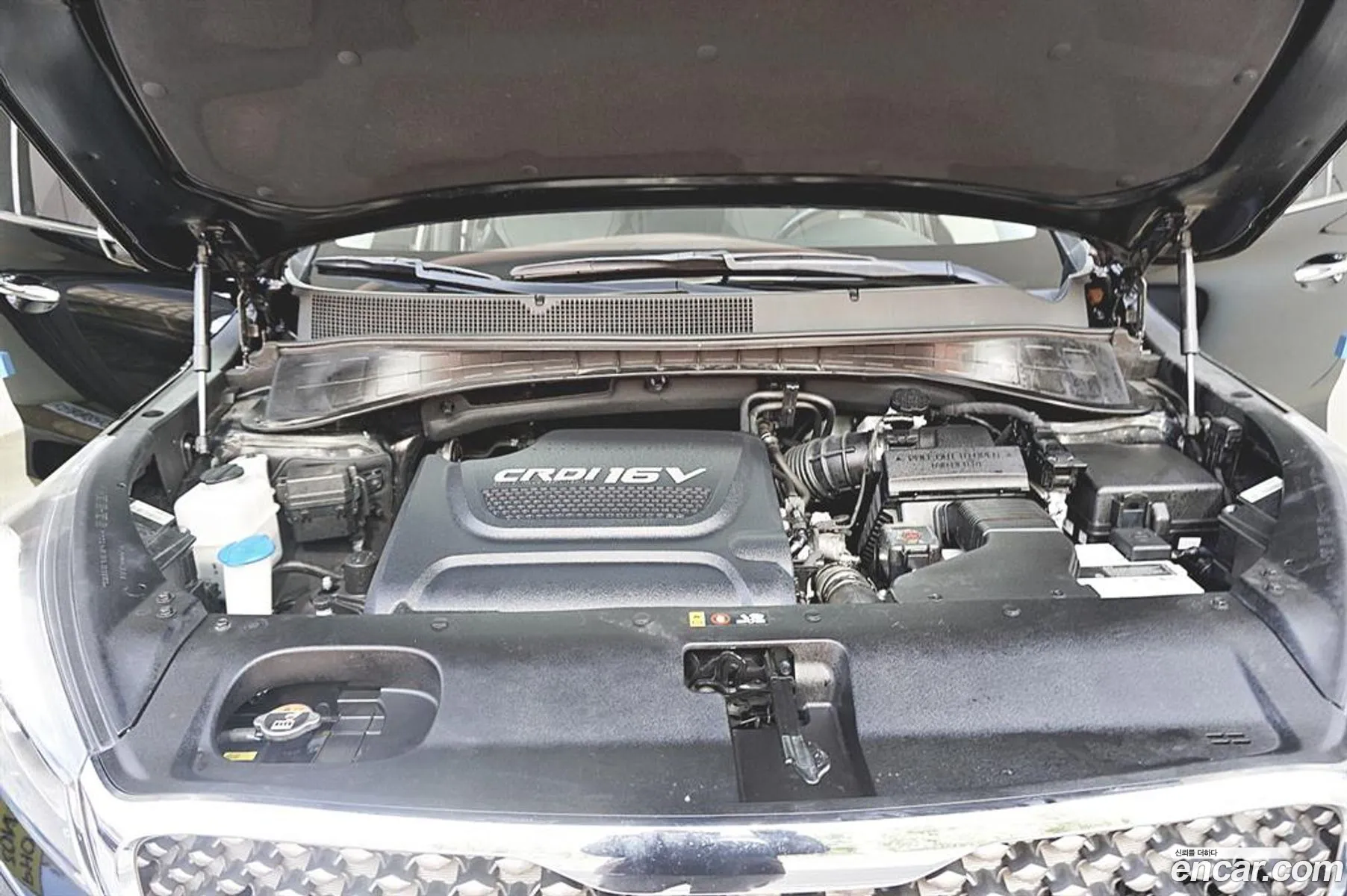 Korex Auto Trade - фотография 12571776