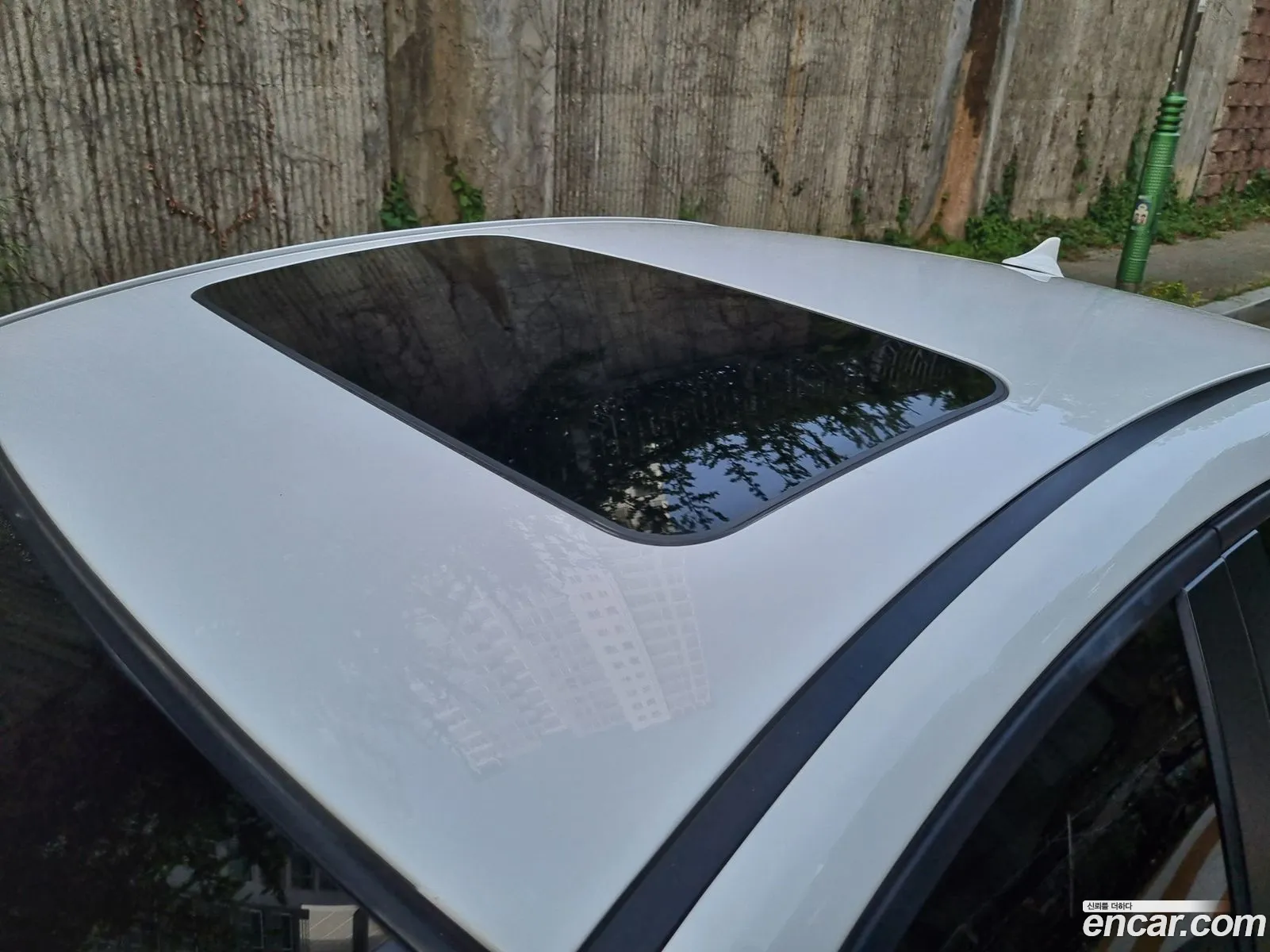 Korex Auto Trade - фотография 5892917