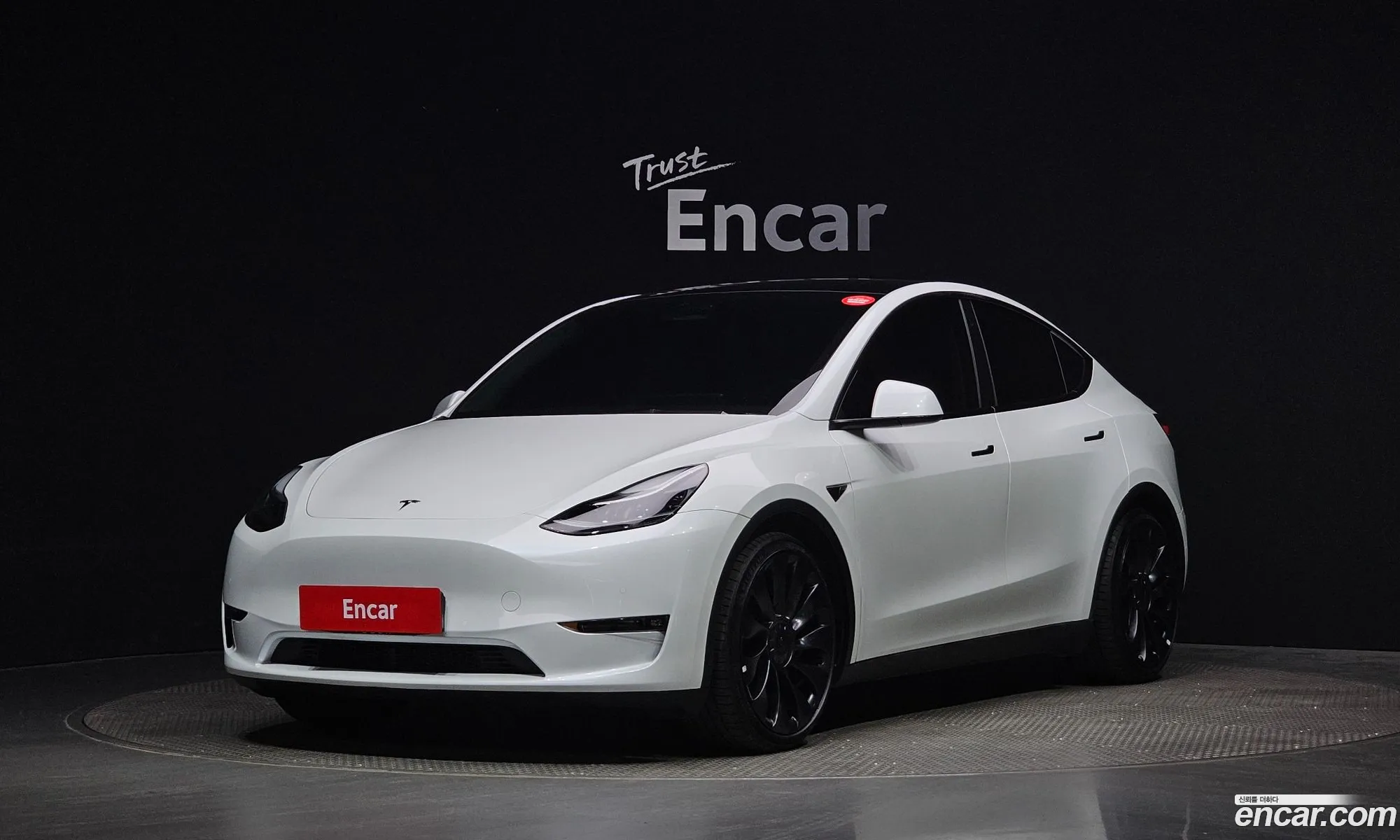 Tesla Model Y I Performance 2022 - фотография 14605825