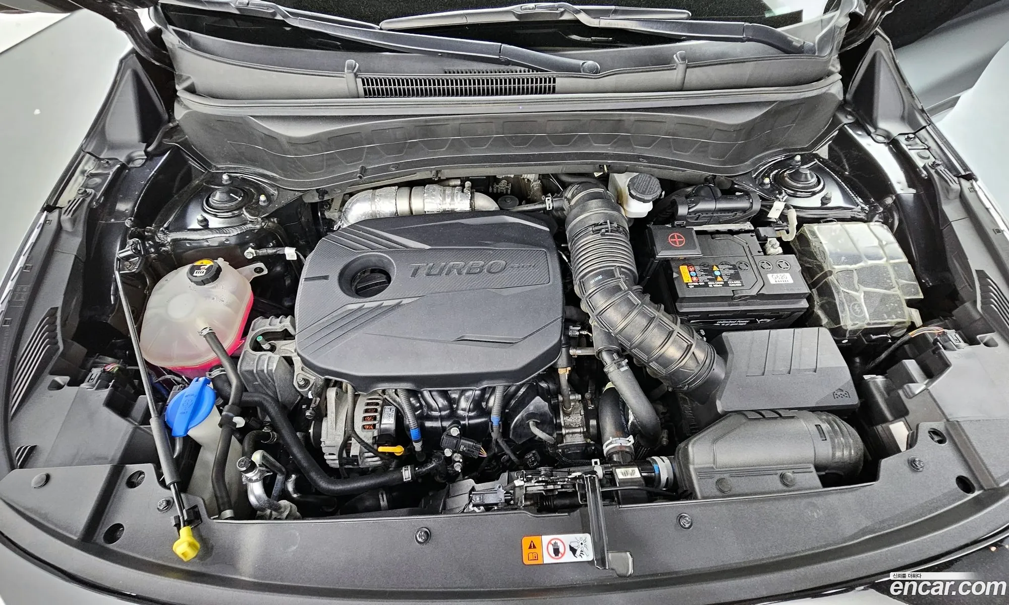 Kia Seltos Gasoline 16 Turbo 2Wd Gravity - фотография 17531193