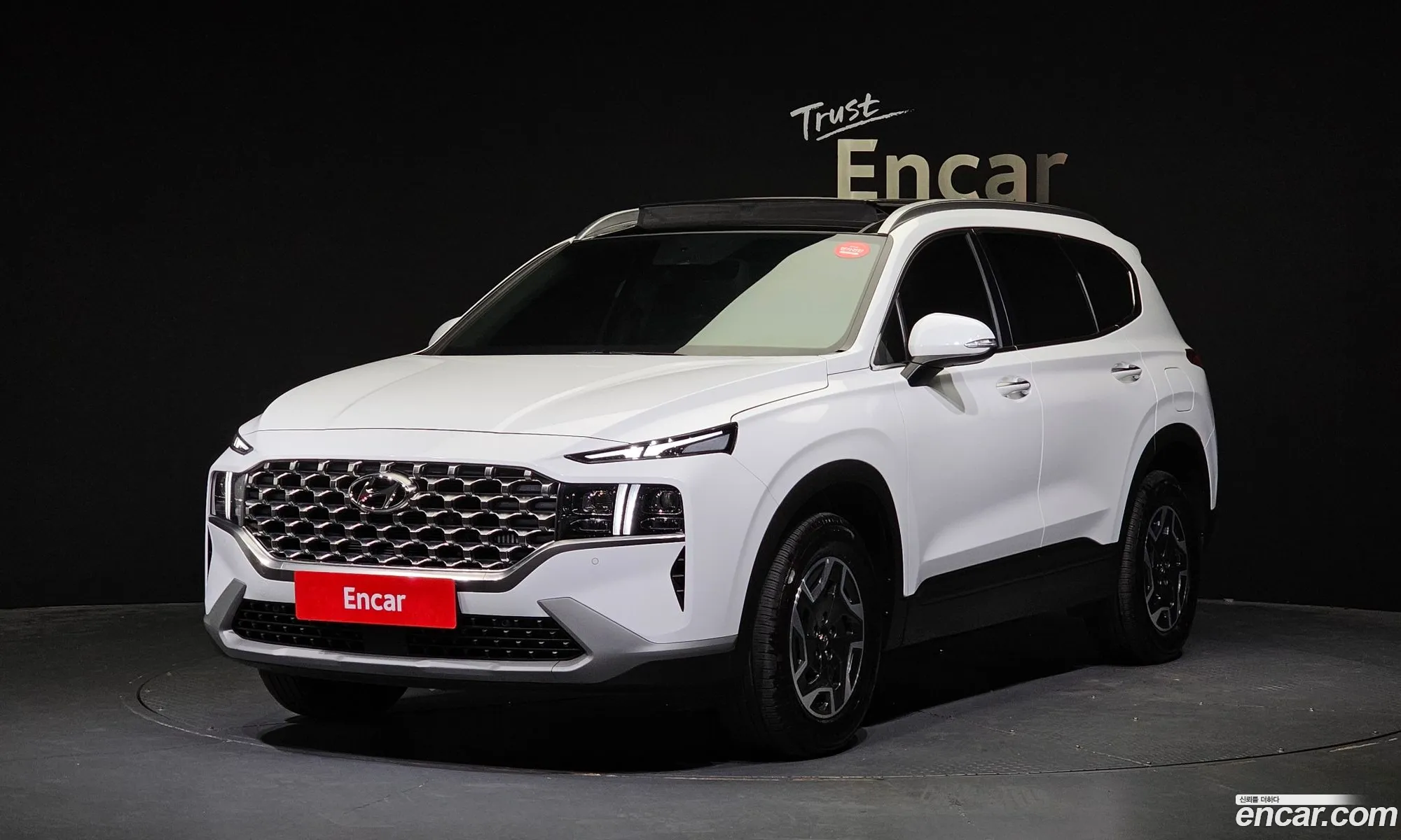 Hyundai Santa Fe Hev 16 2Wd 2023 - фотография 12811518