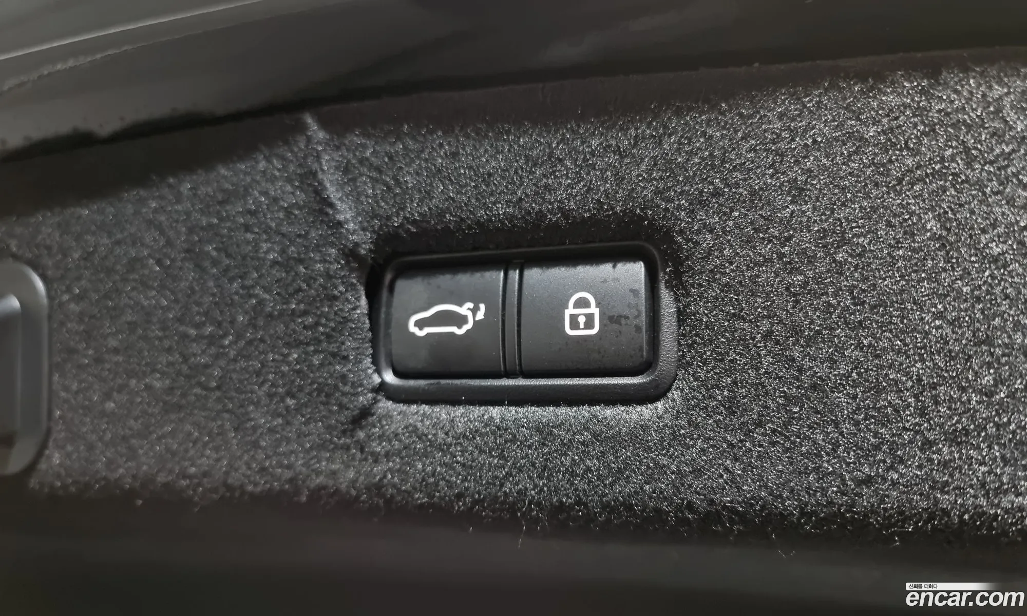 Korex Auto Trade - фотография 12552058