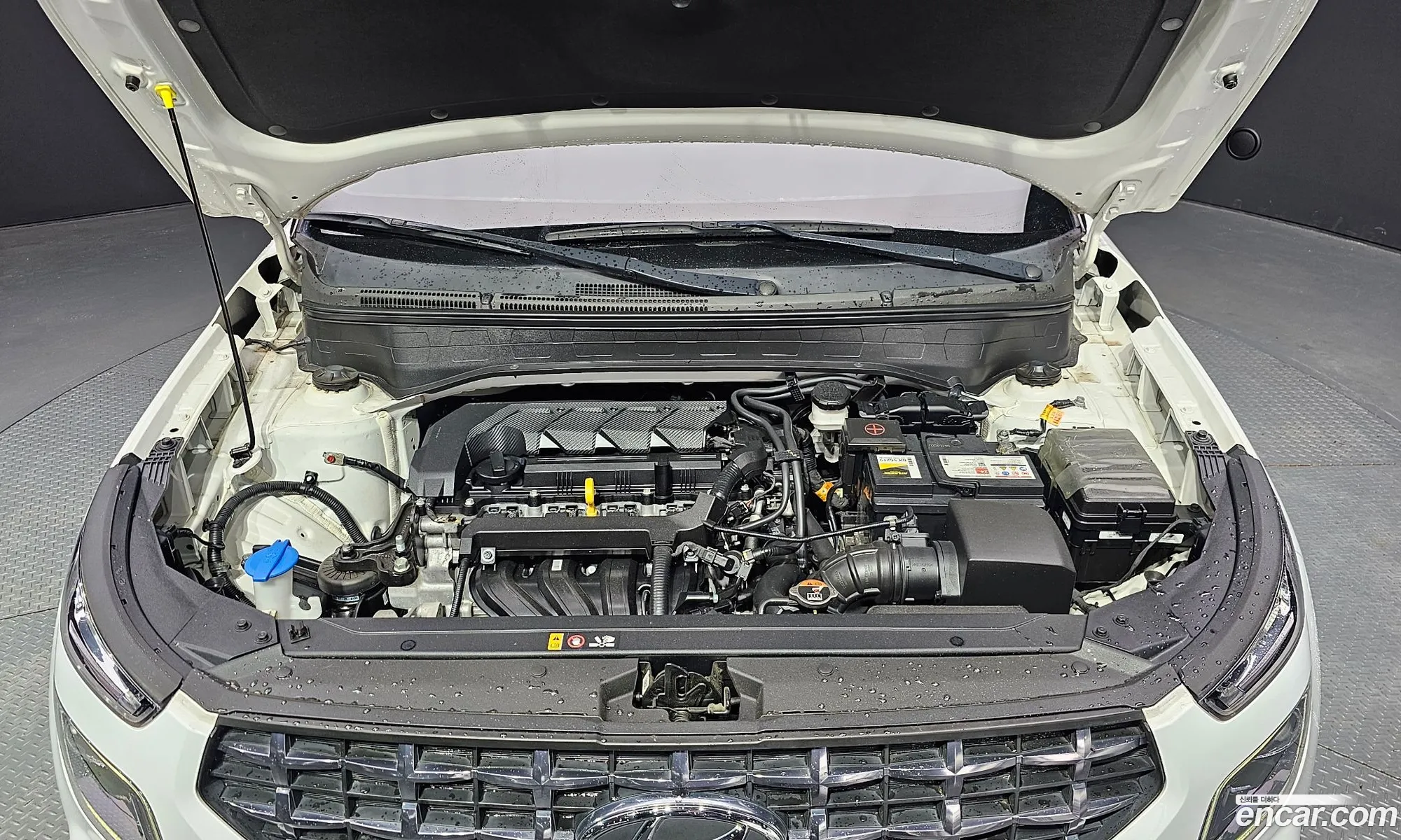 Hyundai Venue I 16 Modern 2020 - фотография 19506489