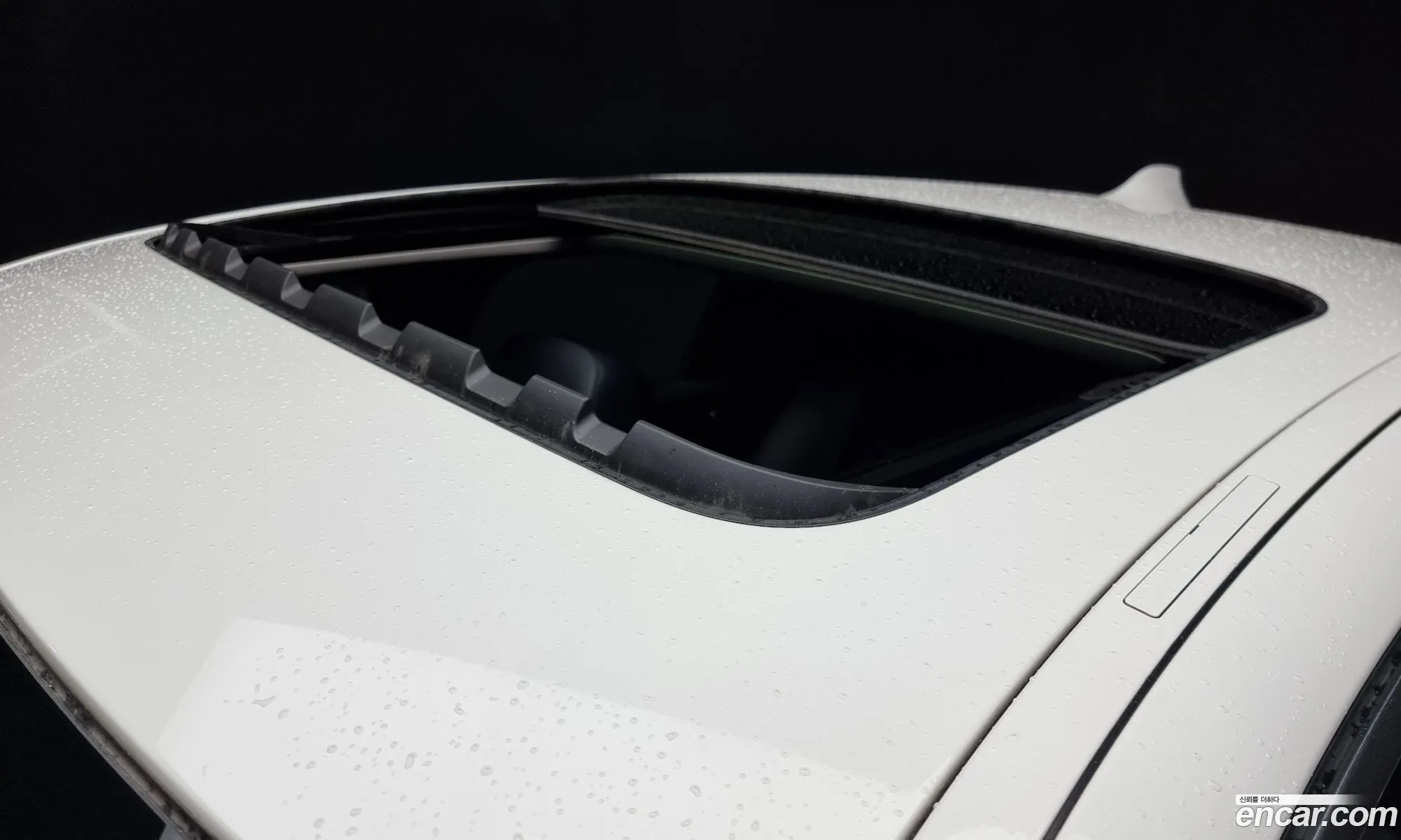 Korex Auto Trade - фотография 3786