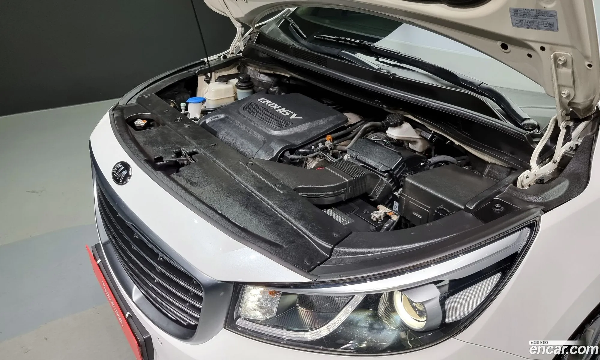 Kia Carnival 9-Seater Noblesse 2015 - фотография 12551682
