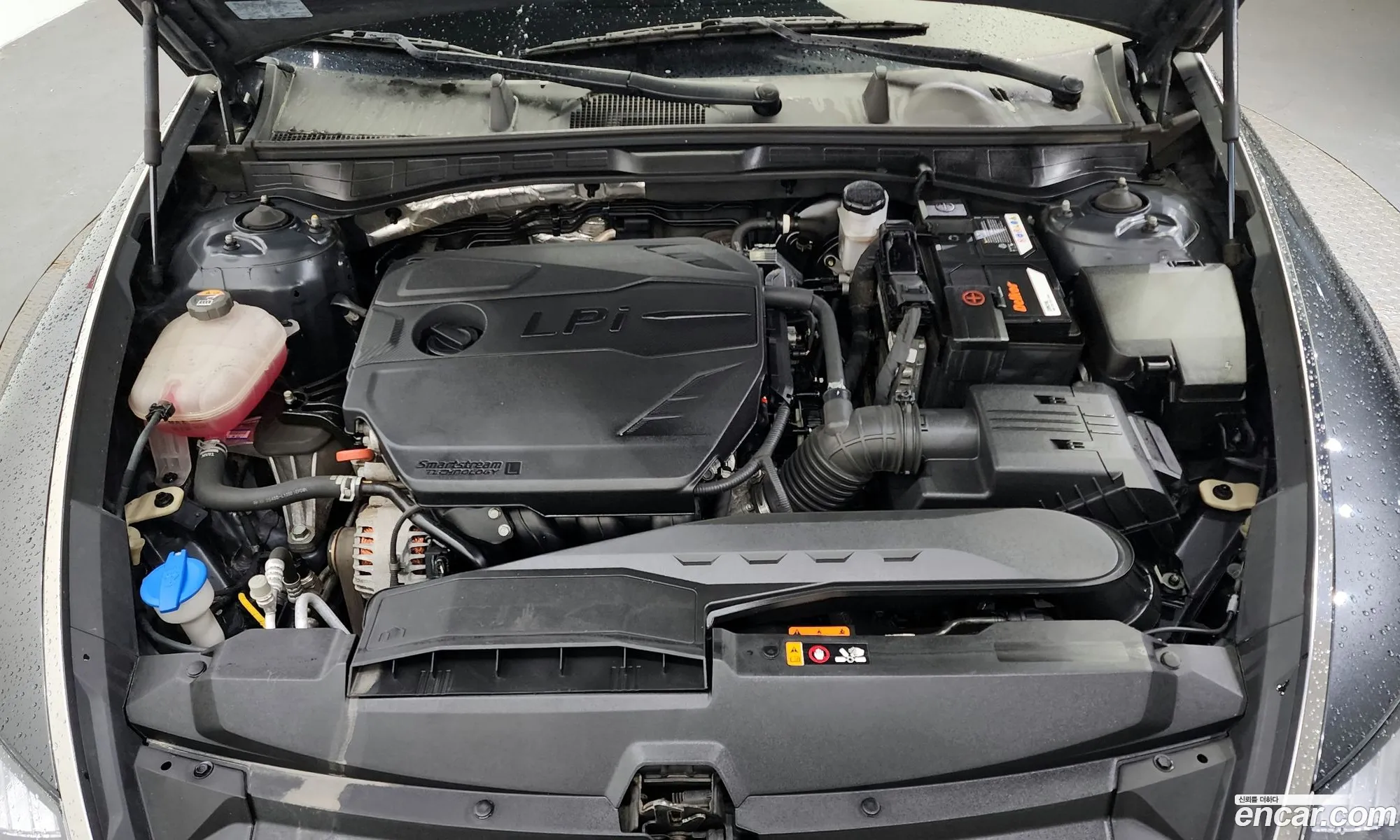 Hyundai Sonata Viii Dn8 20 Lpg For Rental Cars 2021 - фотография 19377681