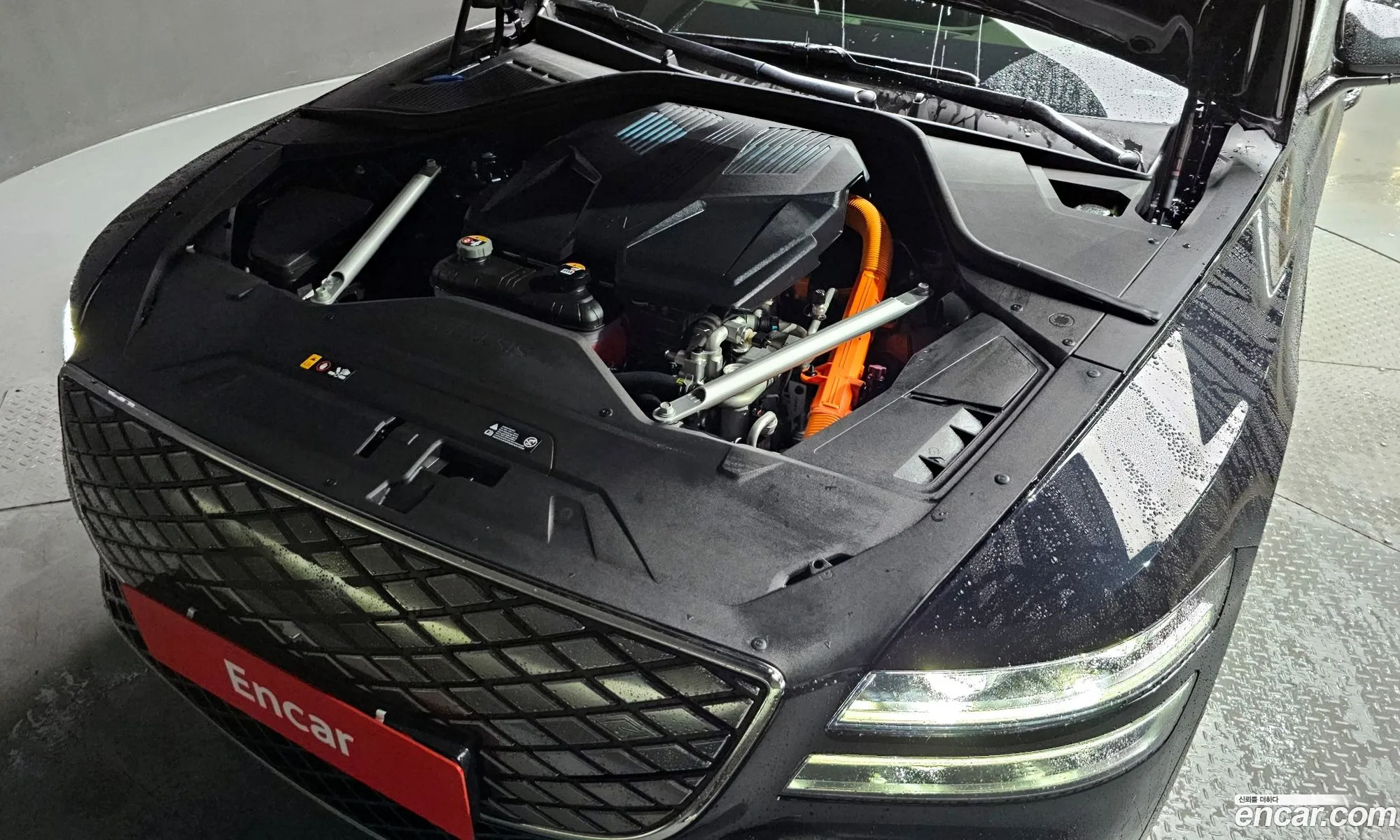 Korex Auto Trade - фотография 20573