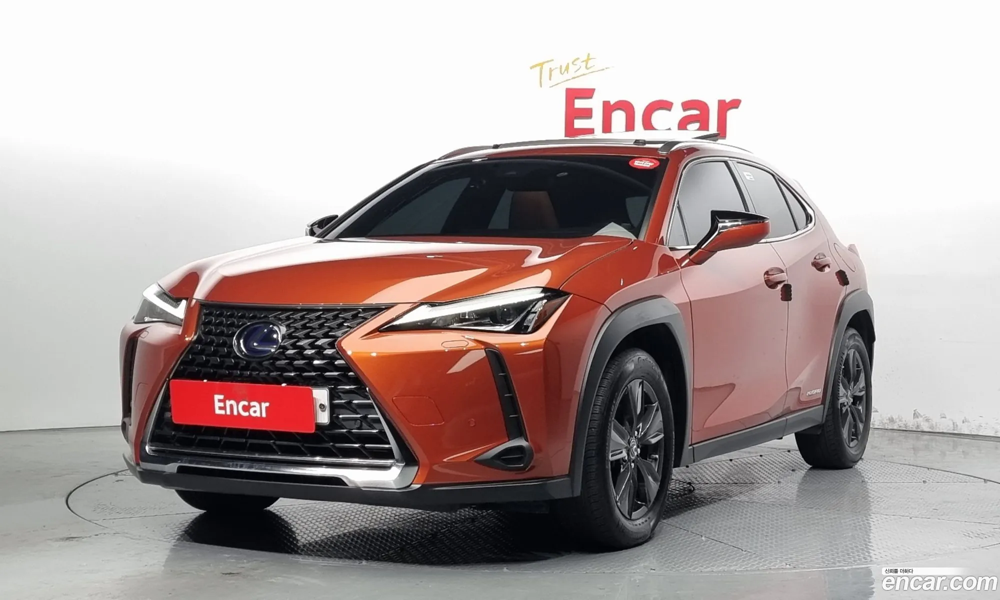 Lexus Ux I 20 2Wd 2019 - фотография 3710884