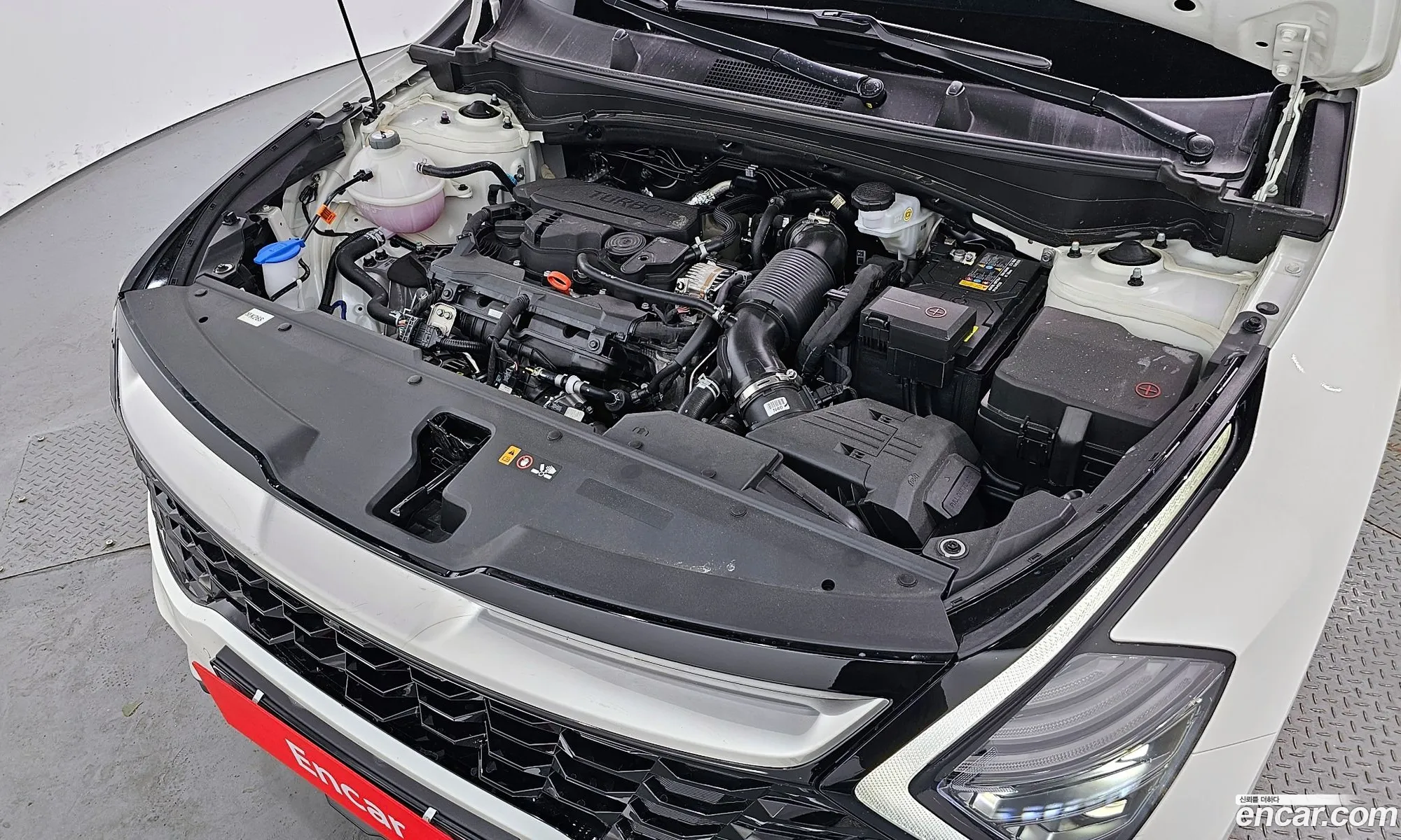 Kia Sportage Gasoline 16 Turbo 2Wd 2024 - фотография 15641979