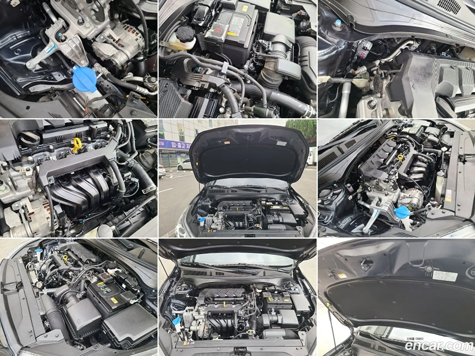 Korex Auto Trade - фотография 17529536