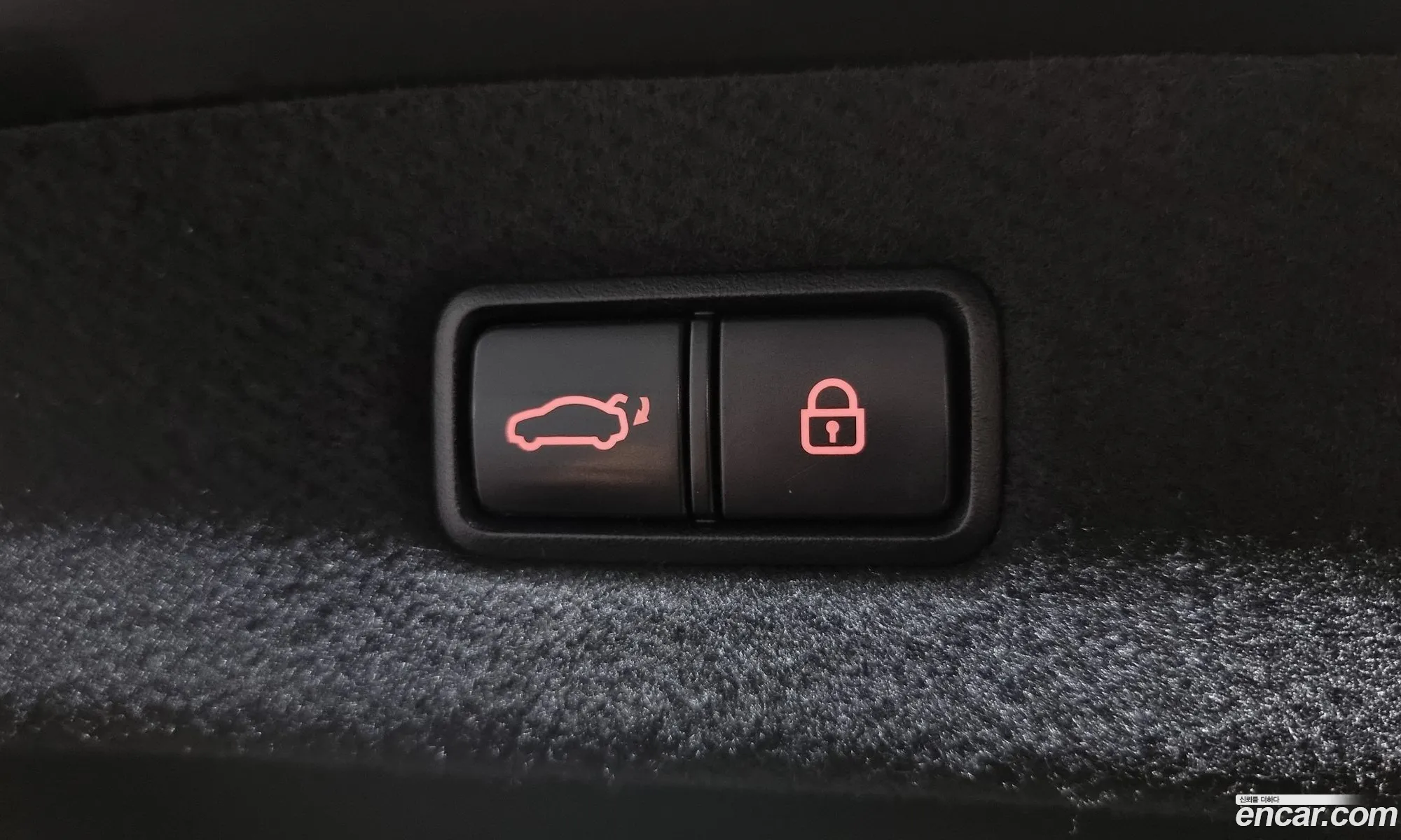 Korex Auto Trade - фотография 155008
