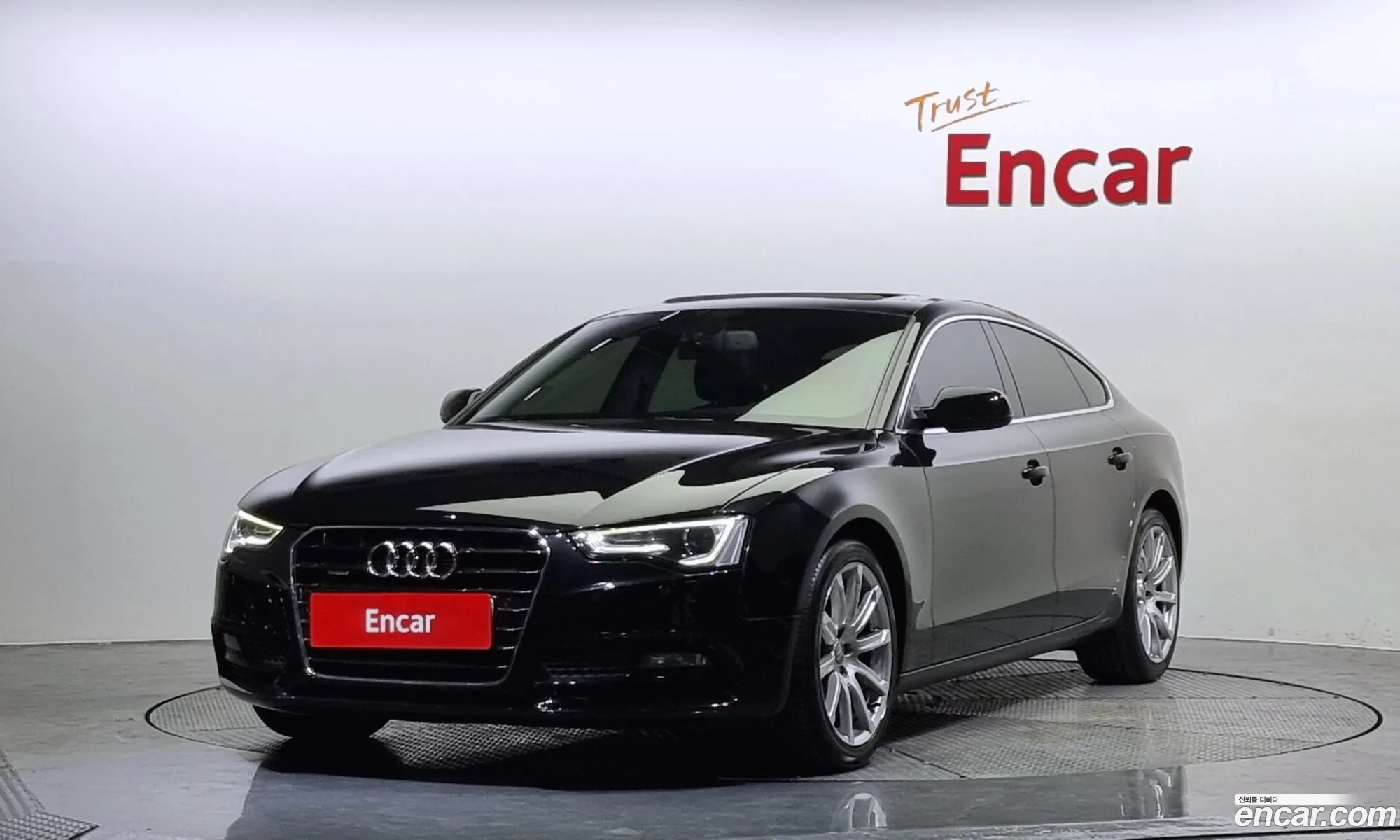 Audi A5 I 8T 20 Tdi Quattro Dynamic Sportsback 2013 - фотография 4683918
