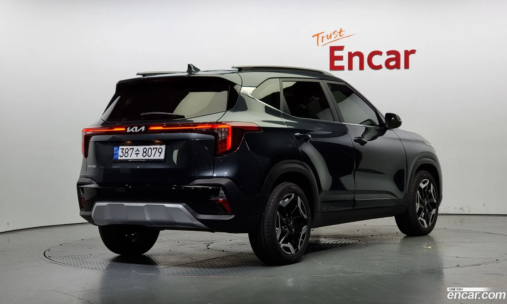 Kia Seltos Gasoline 16 Turbo 2Wd 2024 - фотография 11154912