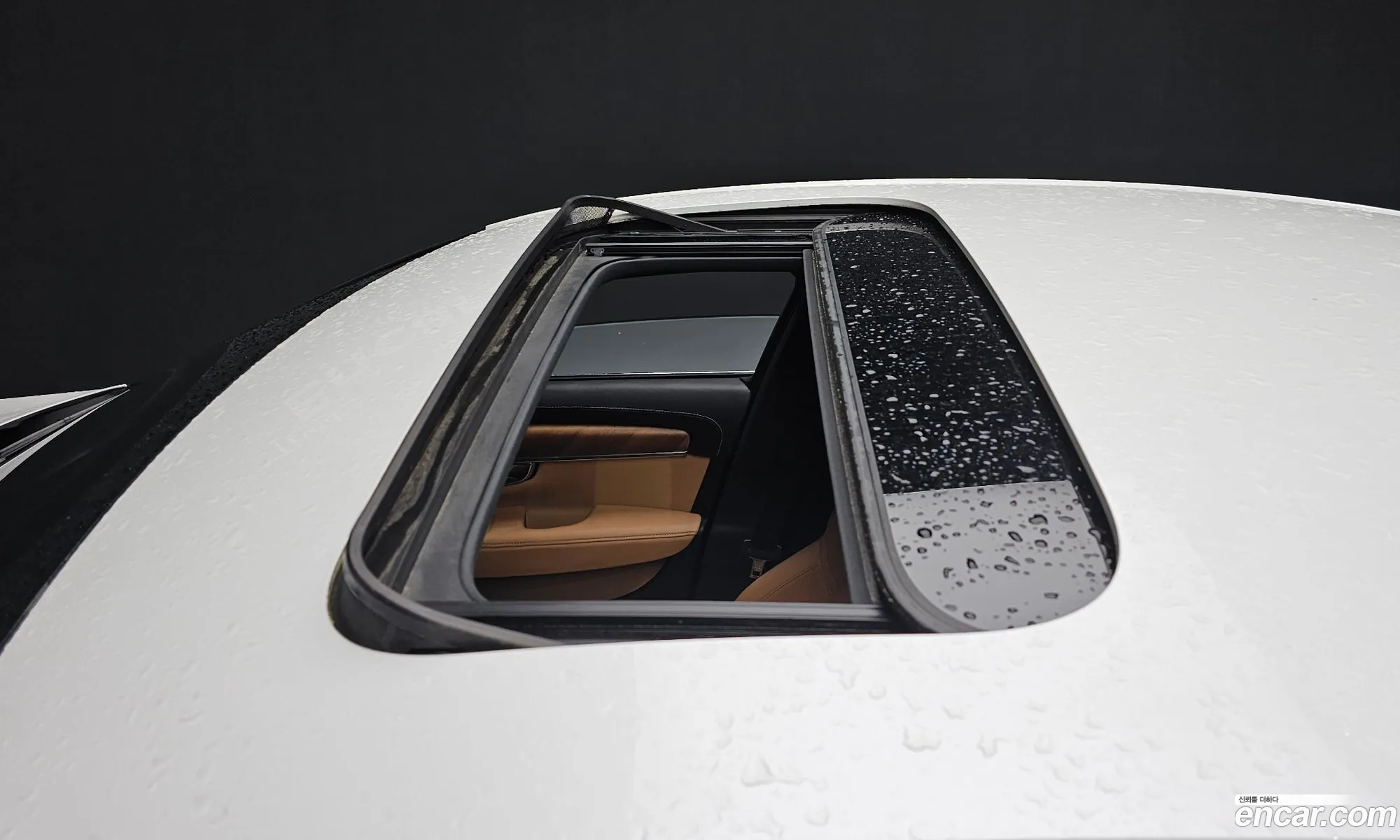 Korex Auto Trade - фотография 4570707