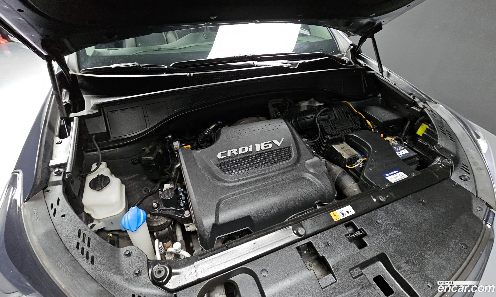 Korex Auto Trade - фотография 11784032