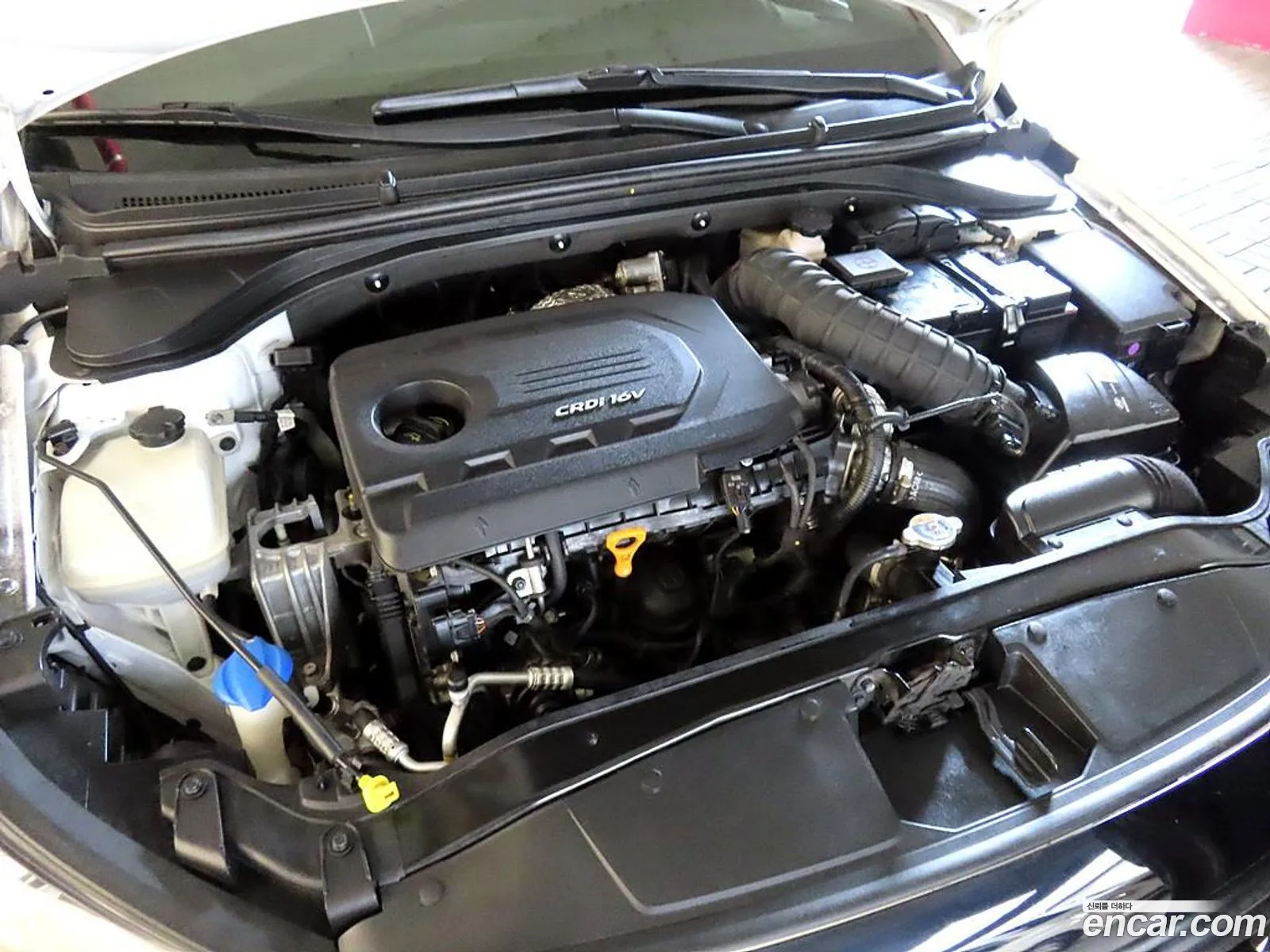 Hyundai Avante 16 E-Vgt Smart 2016 - фотография 19181945