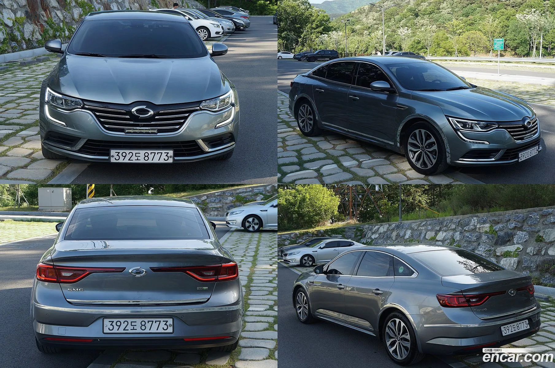 Renault Korea Samsung Sm6 20 Lpe Le For The Disabled - фотография 11608814