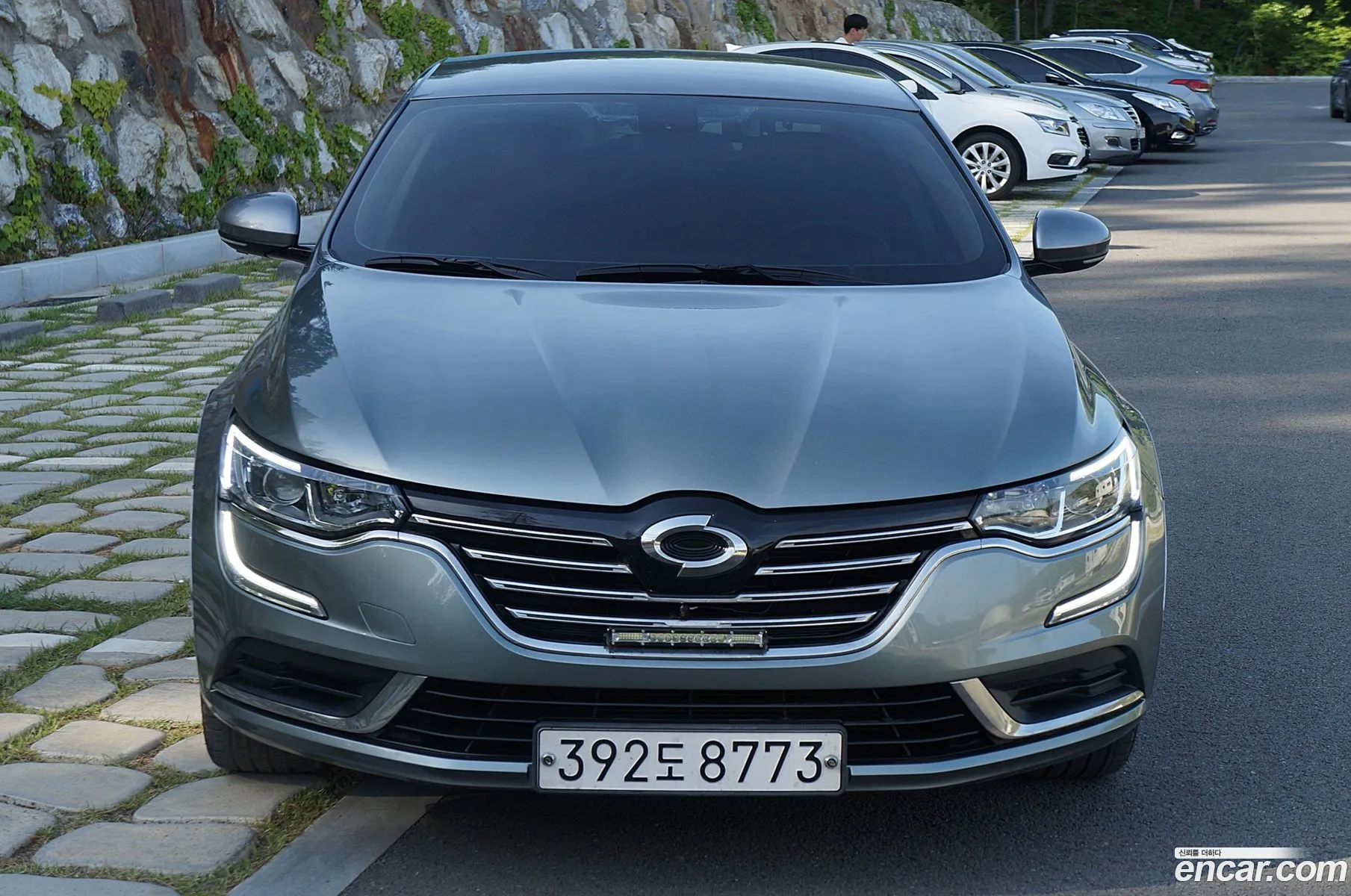 Renault Korea Samsung Sm6 20 Lpe Le For The Disabled - фотография 11608815