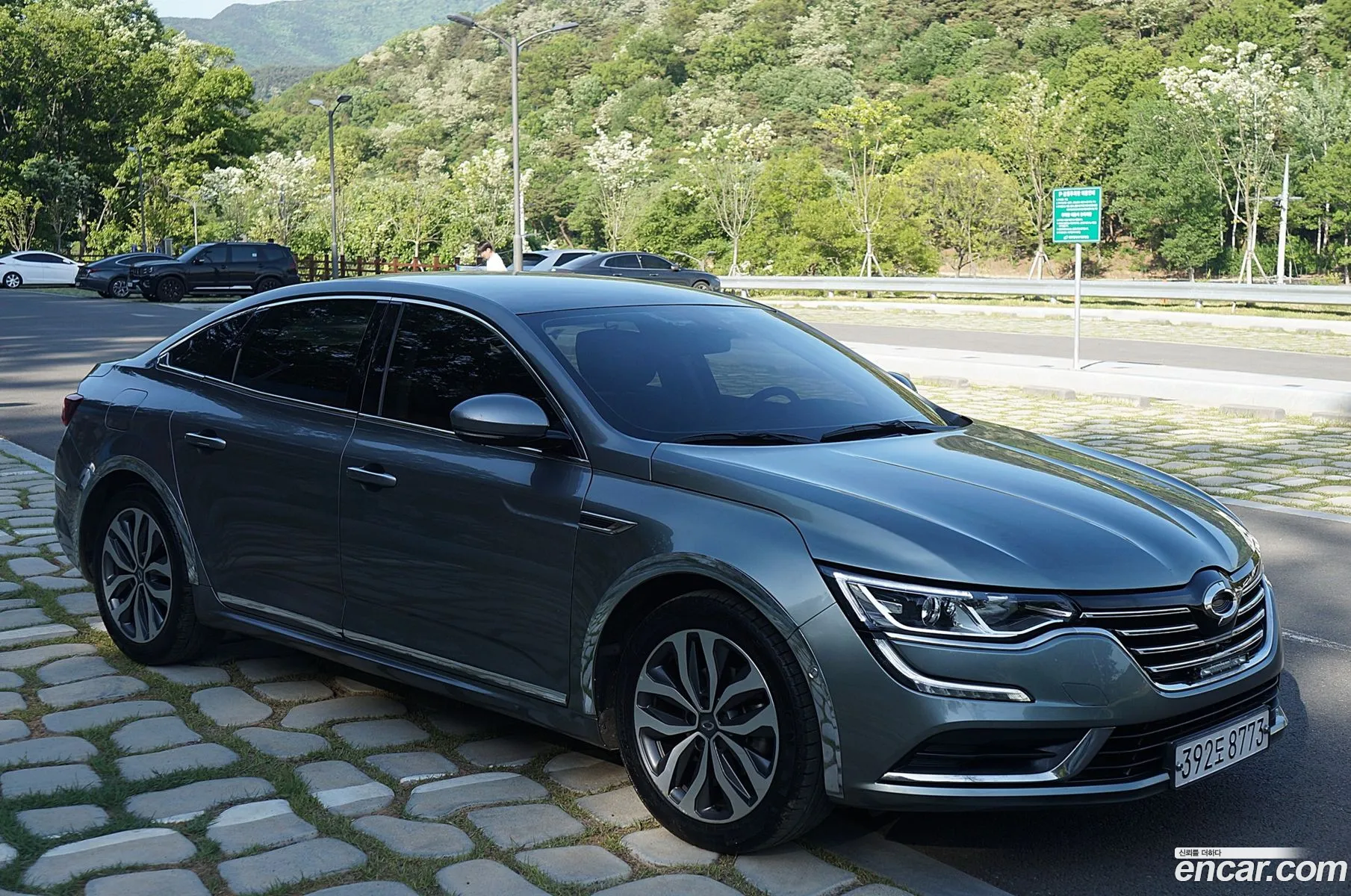 Renault Korea Samsung Sm6 20 Lpe Le For The Disabled - фотография 11608819