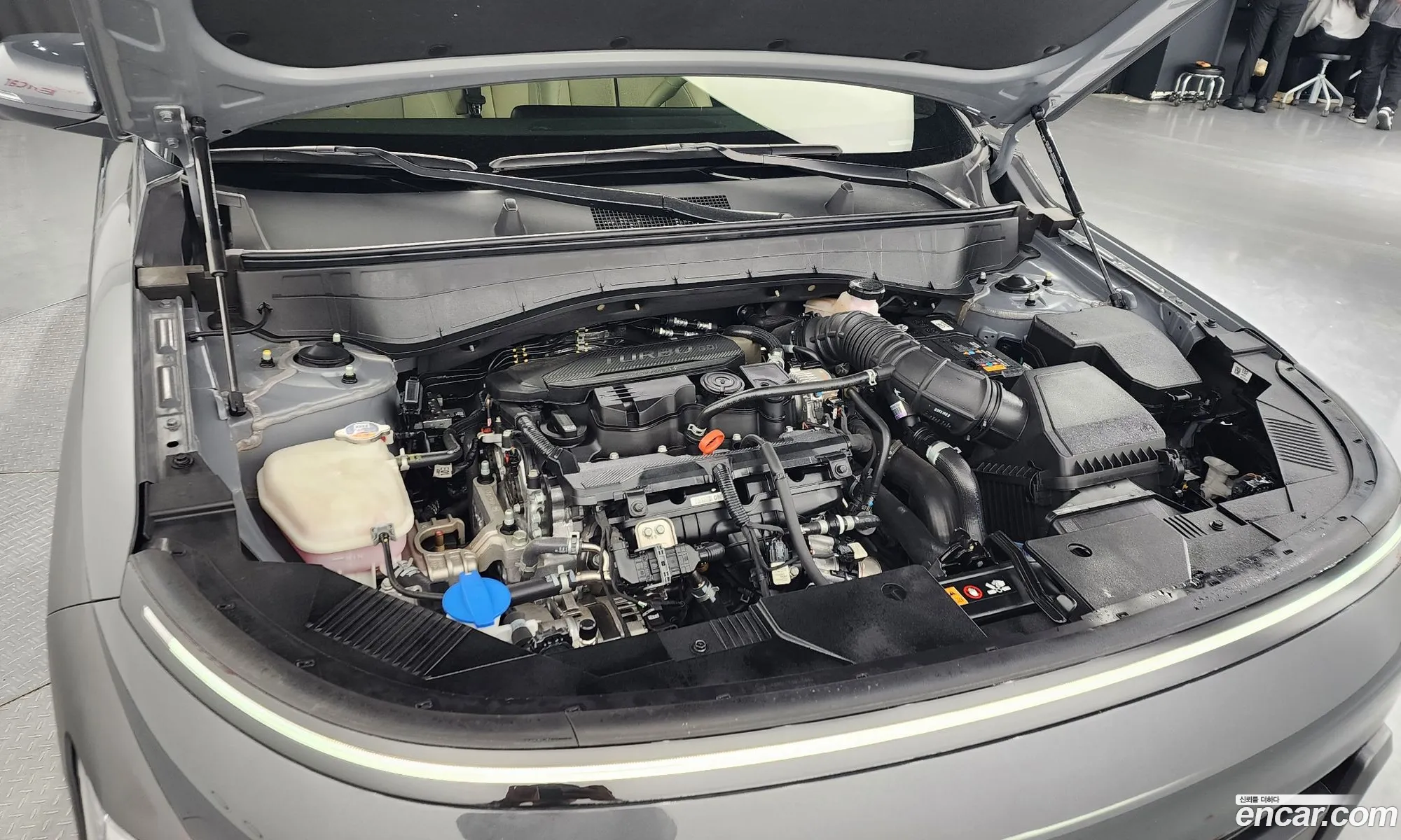 Hyundai Kona Gasoline 16 Turbo 2Wd 2023 - фотография 18293578