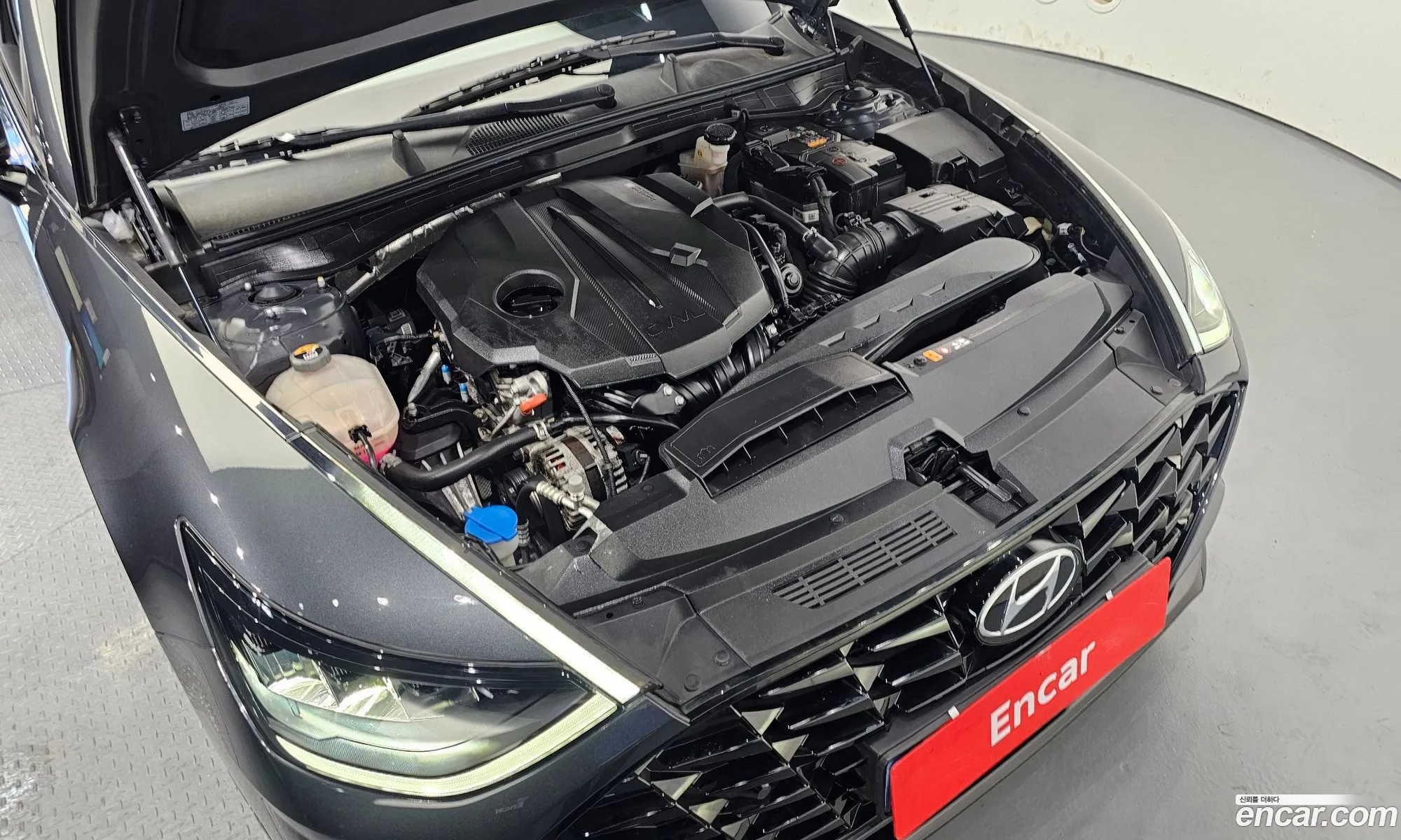 Hyundai Sonata Dn8 20 Premium Plus - фотография 18695108