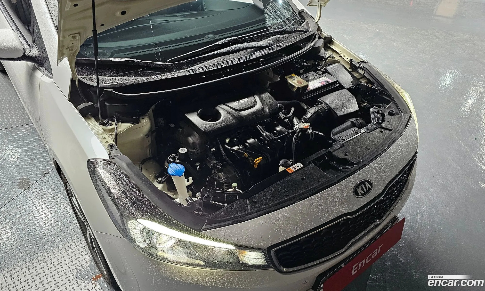 Kia K3 I Nobless 2016 - фотография 17508043