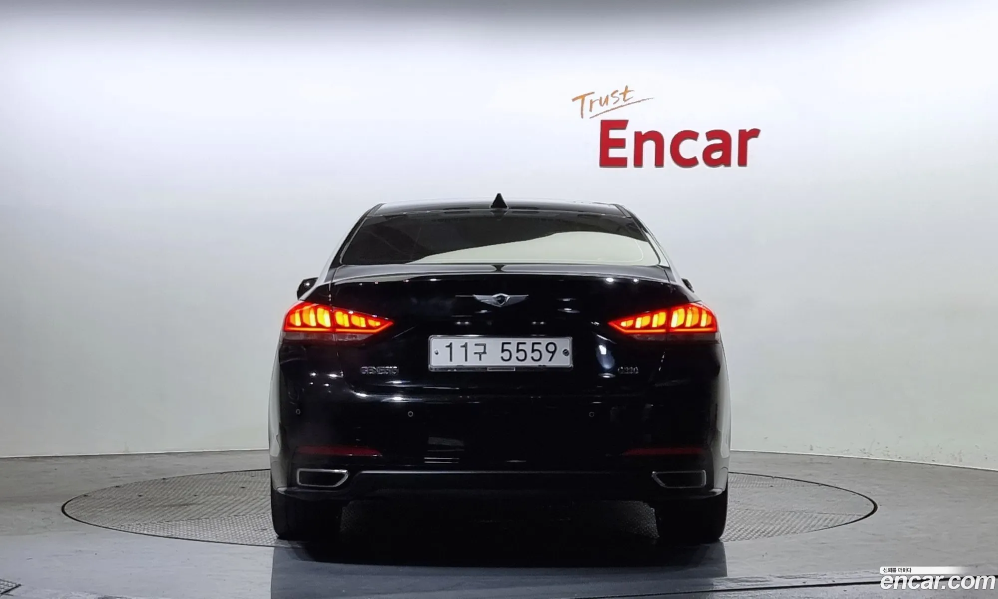 Hyundai Genesis Ii G330 Premium 2016 - фотография 13532268
