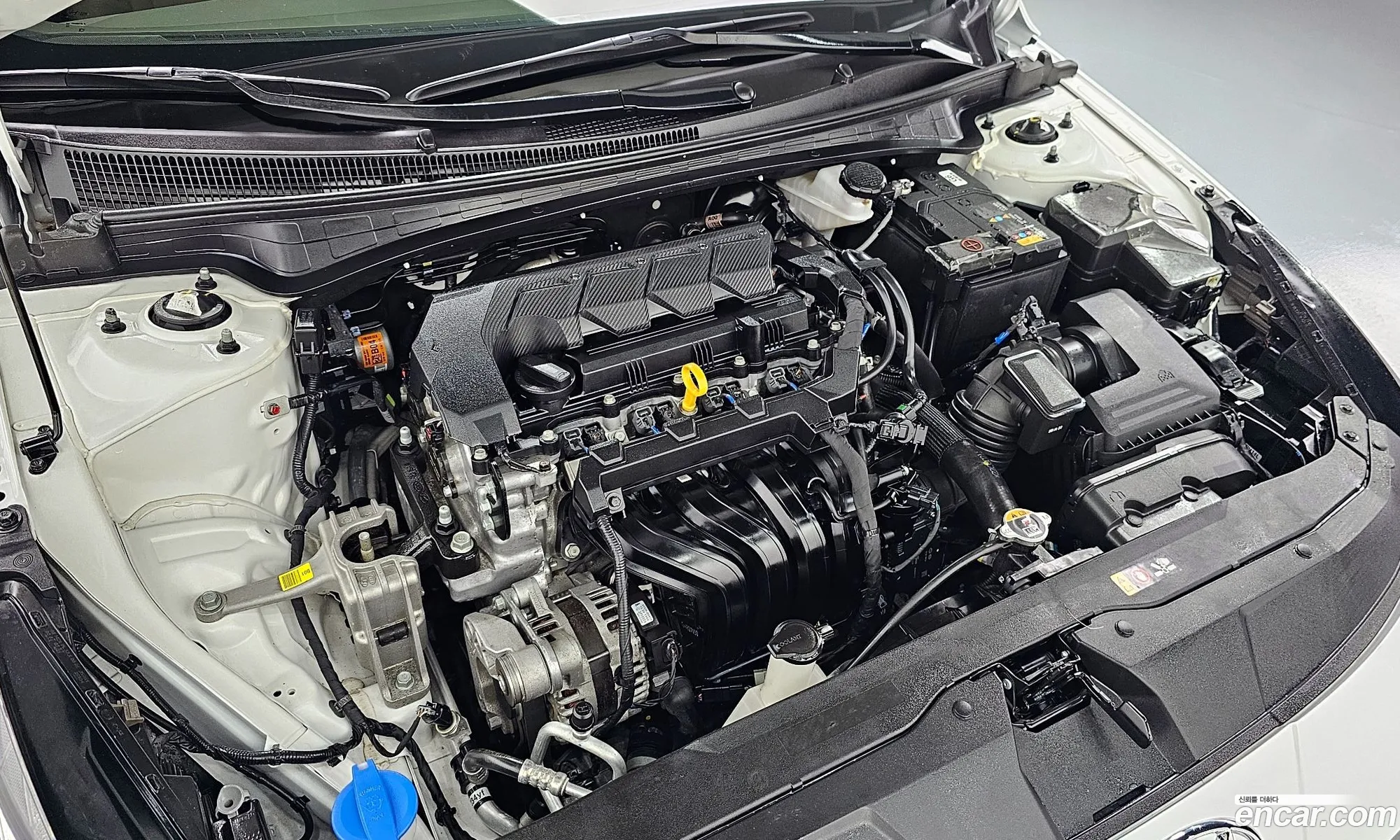 Hyundai Avante 16 2023 - фотография 15634035