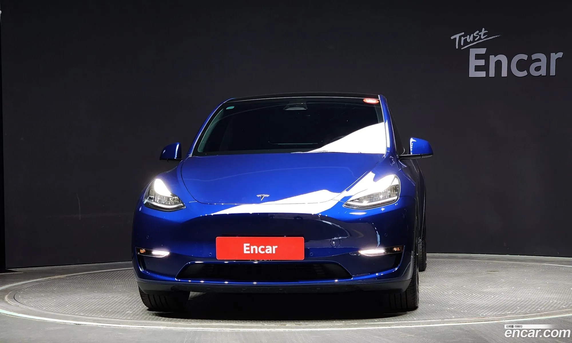 Tesla Model Y I Long Range 2022 - фотография 14605803