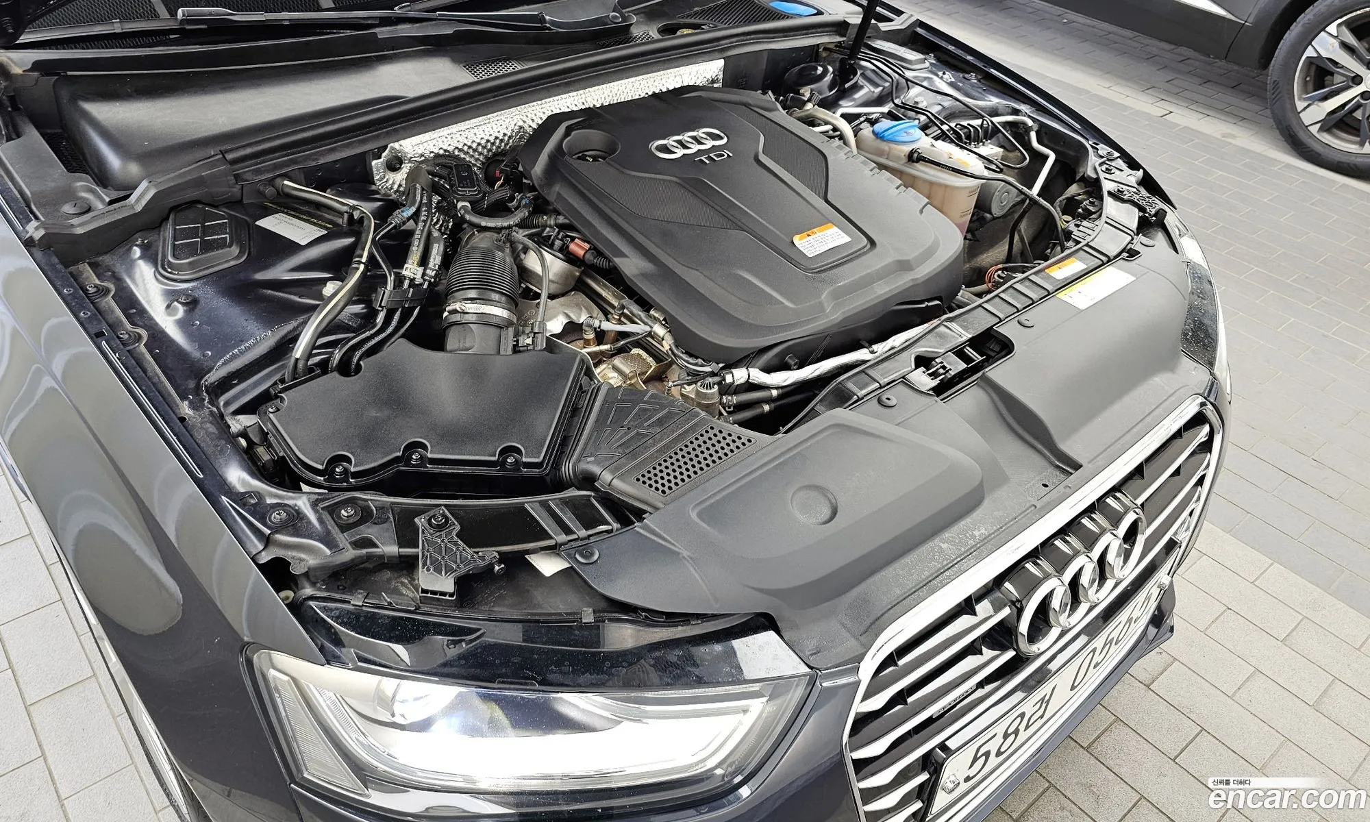 Audi A4 V B9 35 Tdi Quattro Dynamic 2016 - фотография 489218